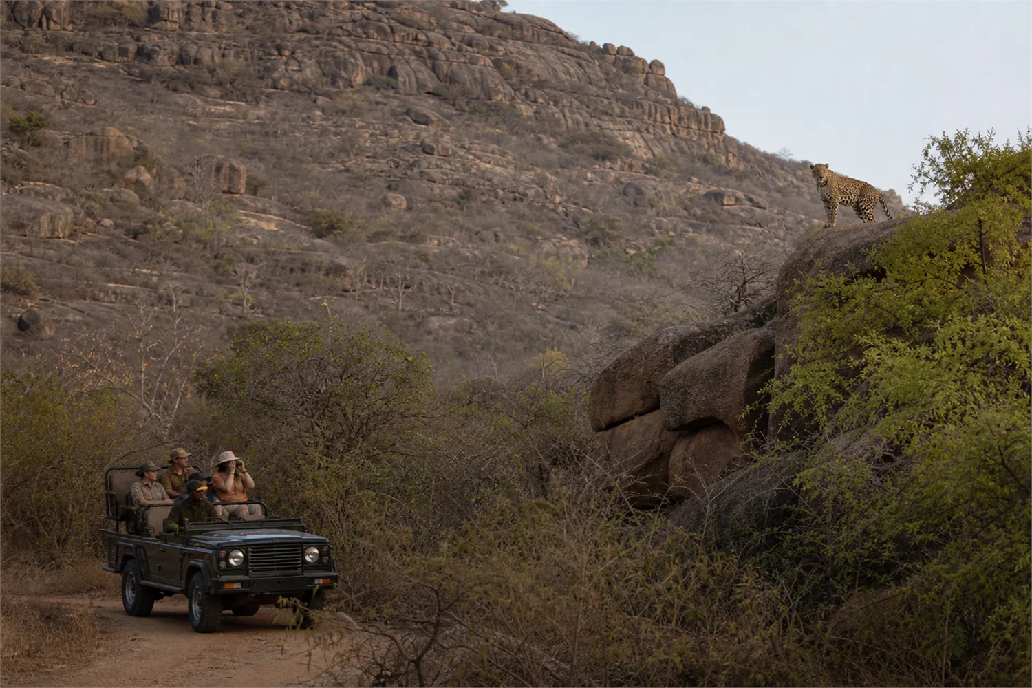 Leopard Safari Rajasthan: Panorama of the exclusive travel experience