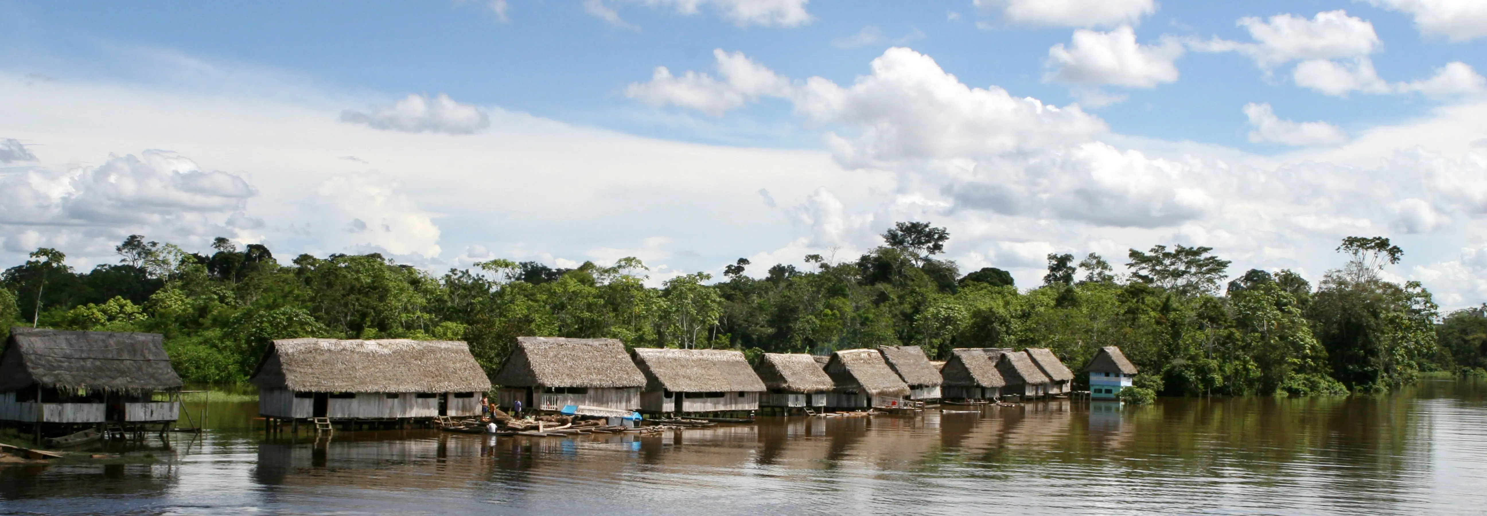 Motif détaillé pour une expédition en Amazonie en bateau de luxe en mettant l'accent sur l'itinéraire, l'accès et la qualité du voyage Motif détaillé pour une expédition en Amazonie en bateau de luxe en mettant l'accent sur l'itinéraire, l'accès et la qualité du voyage
