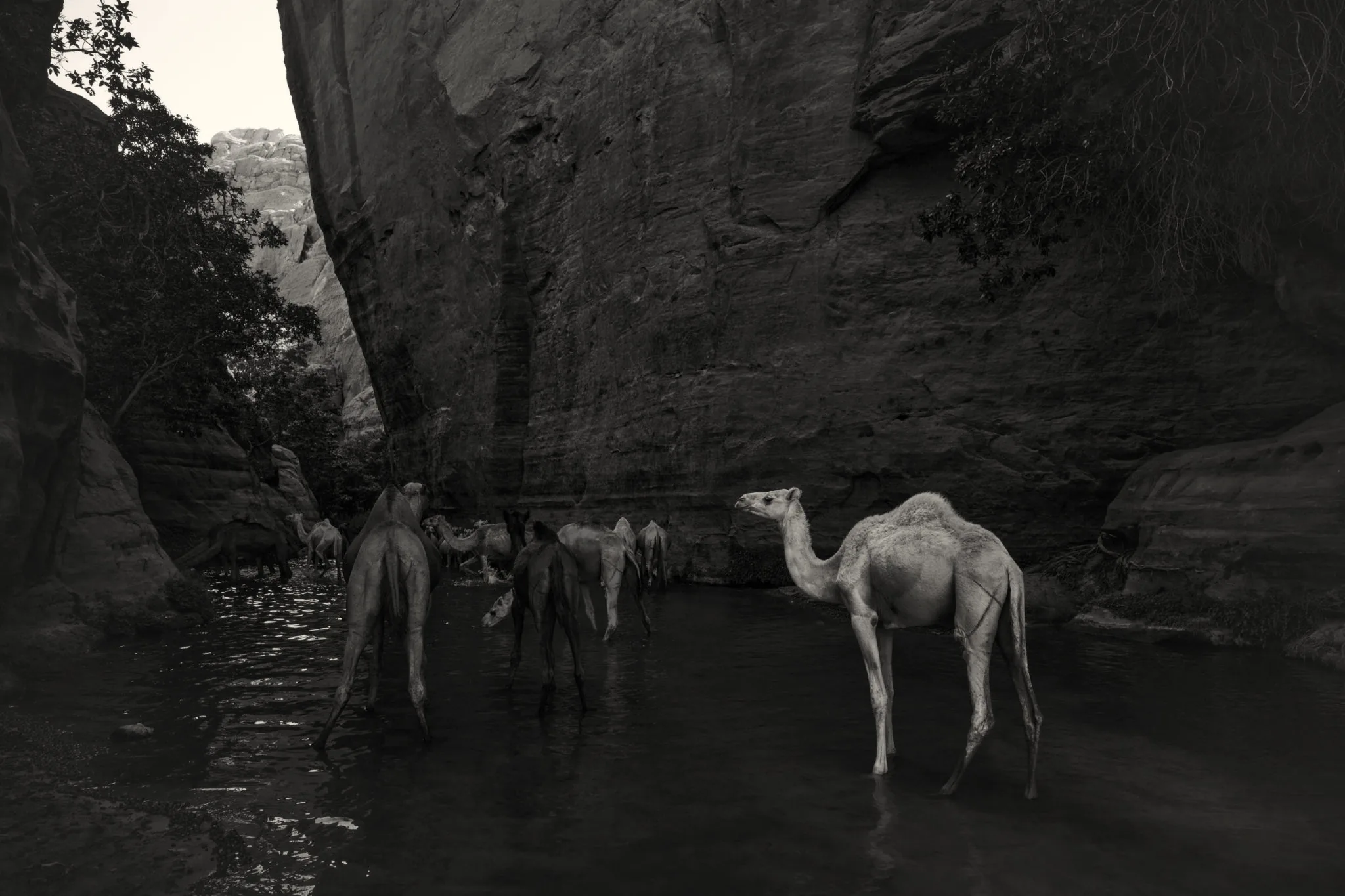 Motif de héros pour l'expédition dans le désert de l'Ennedi, axé sur l'itinéraire, l'accès et la qualité du voyage Motif de héros pour l'expédition dans le désert de l'Ennedi, axé sur l'itinéraire, l'accès et la qualité du voyage