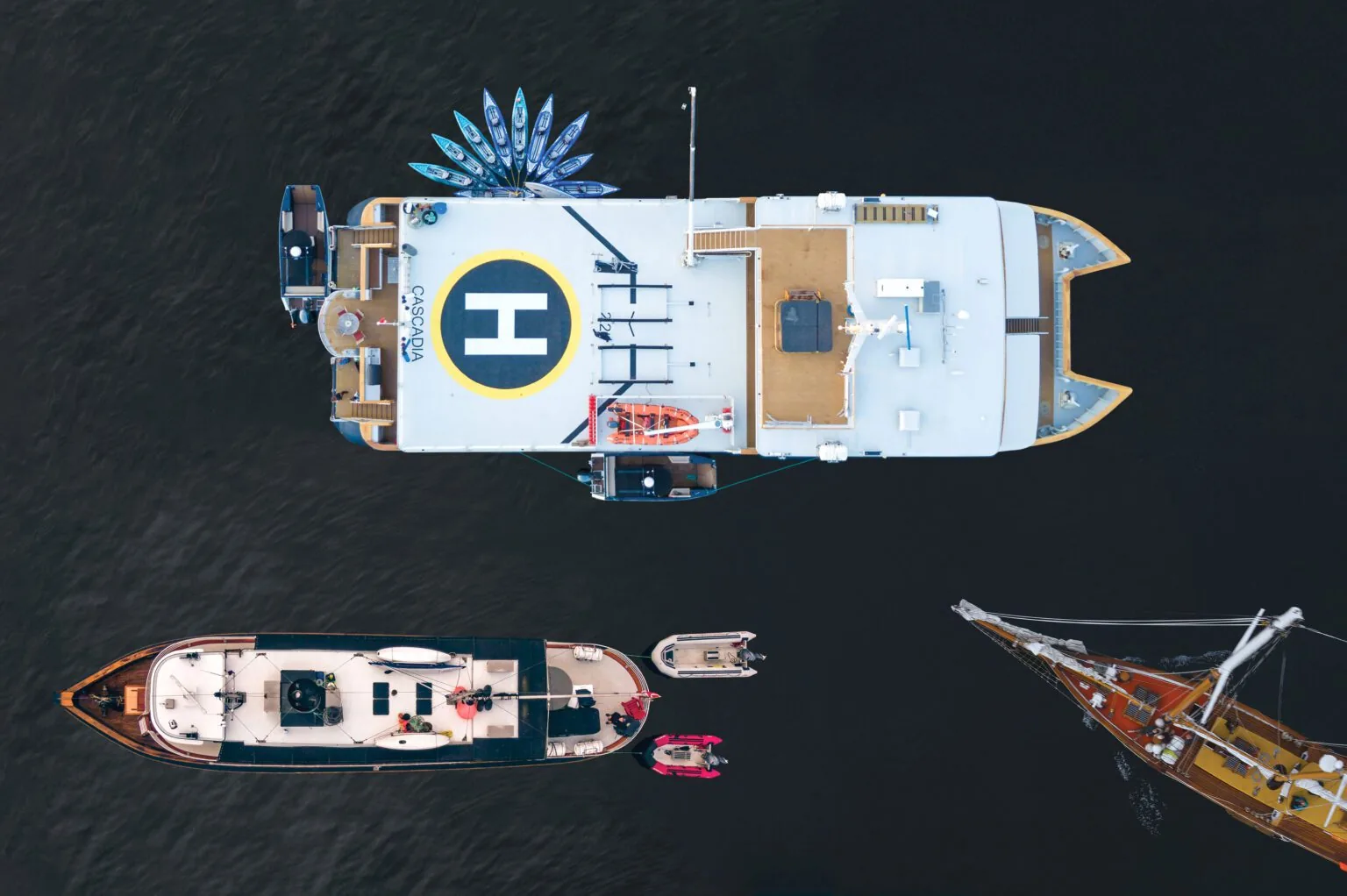 Detail motif for private yacht expedition on the Canadian Pacific coast with focus on route, access and travel quality Detail motif for private yacht expedition on the Canadian Pacific coast with focus on route, access and travel quality