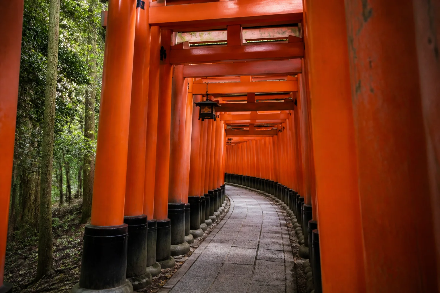 Empty torii passage at Fushimi Inari shrine in Kyoto