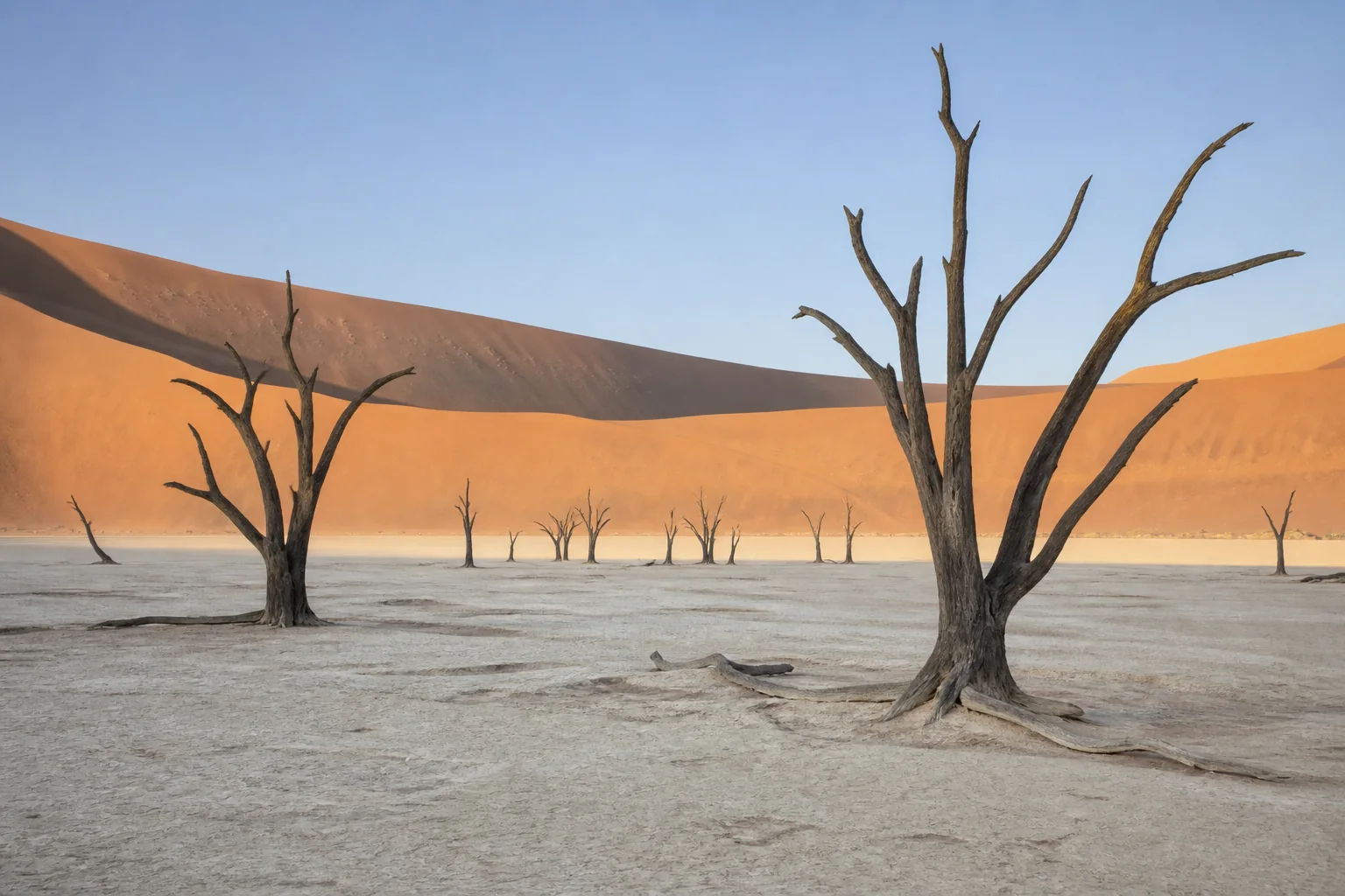 苏丝斯黎死亡谷 Deadvlei 的真实景象：枯死骆驼刺树与红色沙丘