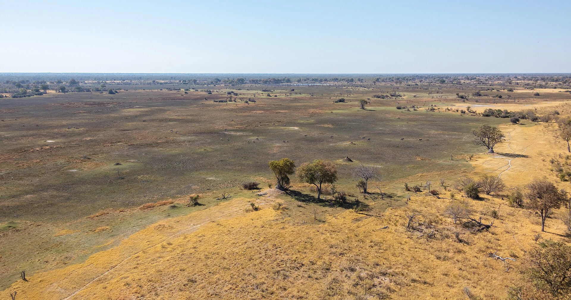 Luftaufnahme trockener und feuchter Lebensräume im Okavango-Delta