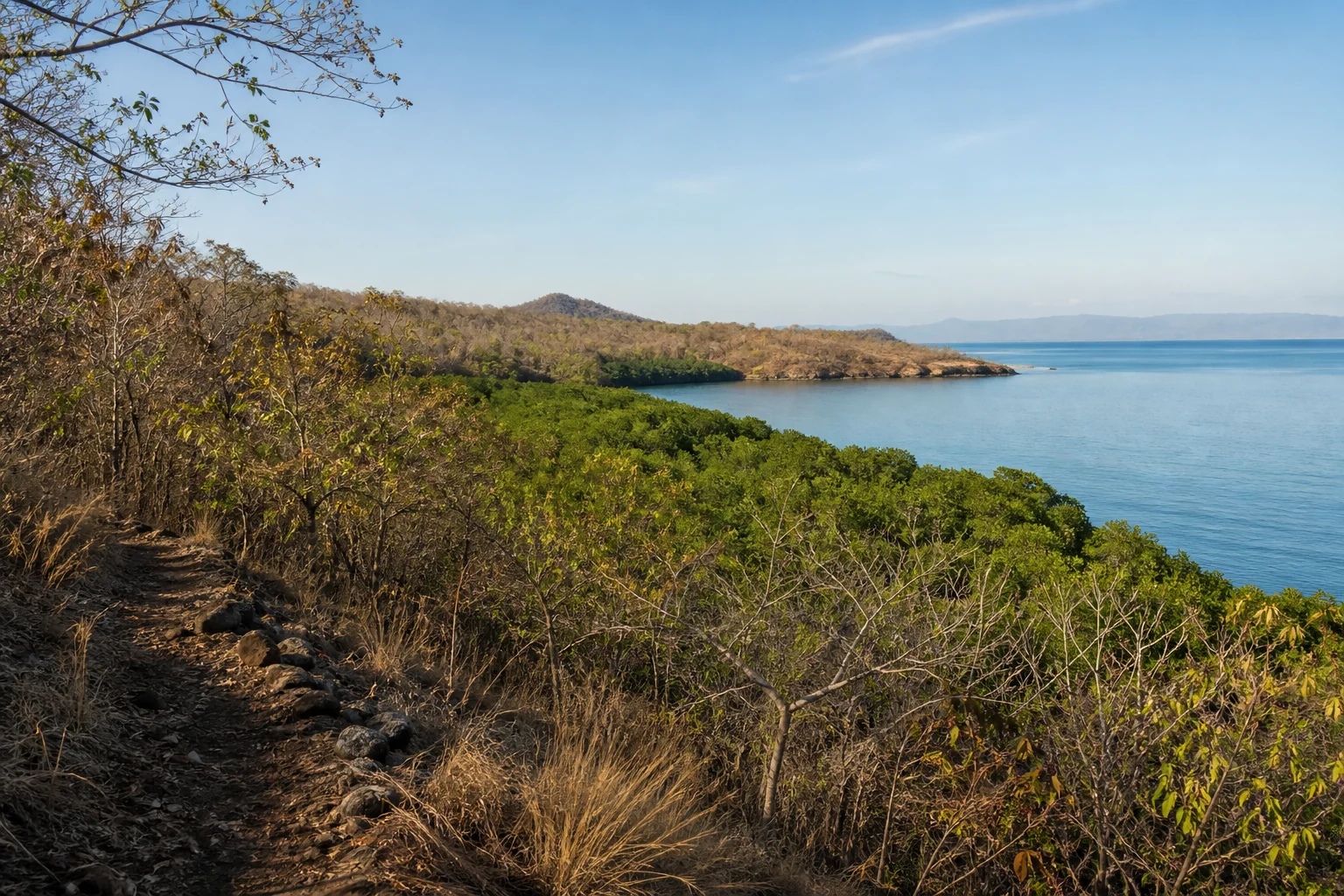 Dry forest, mangroves and coast in West Bali