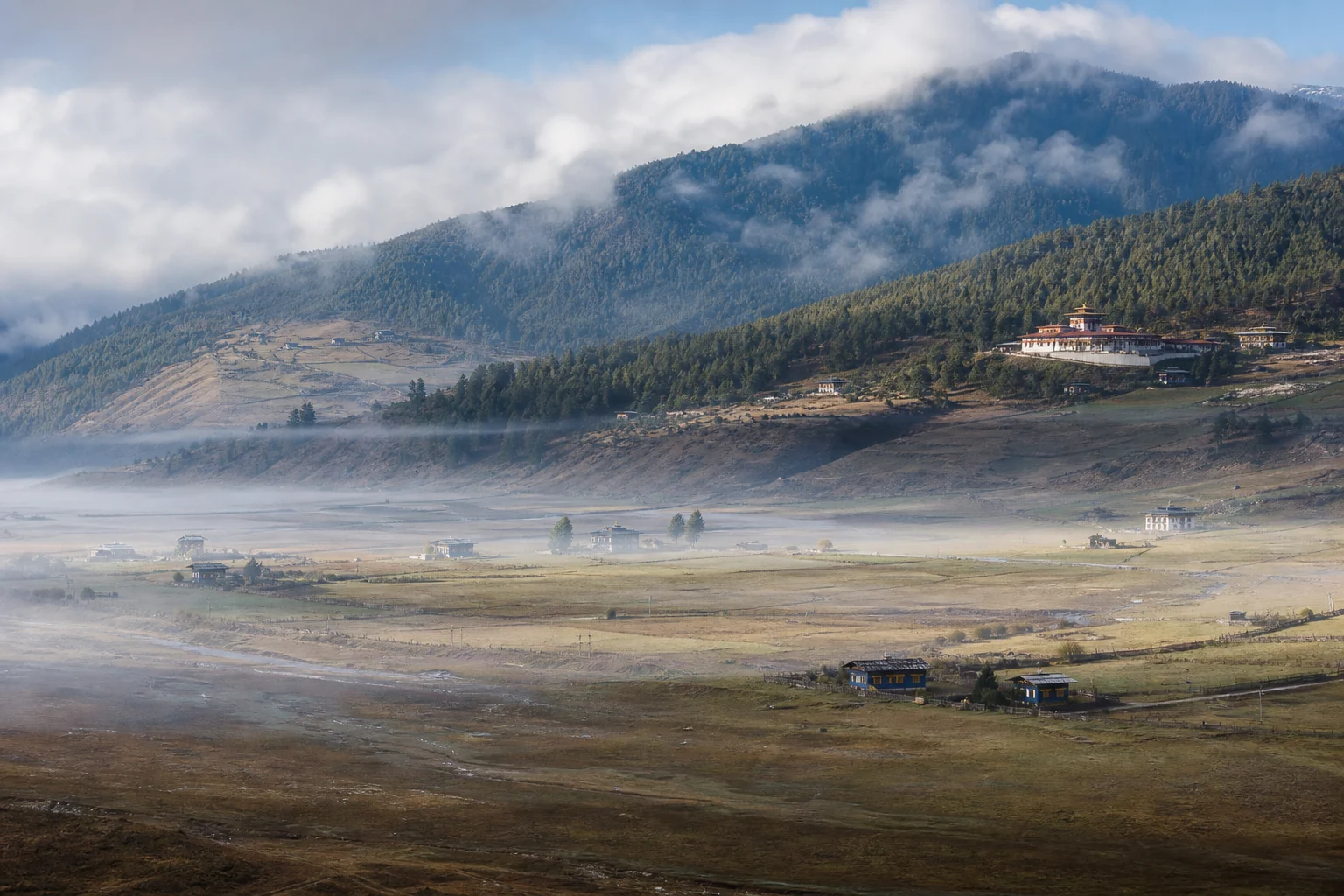 Vaste paysage de la vallée de Phobjikha près de Gangtey