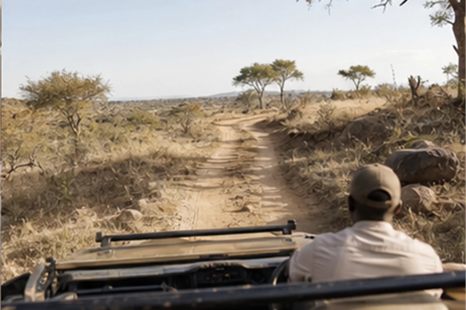 Changer de camp pendant un safari : quand davantage de lodges aggravent le voyage - impression de voyage 3