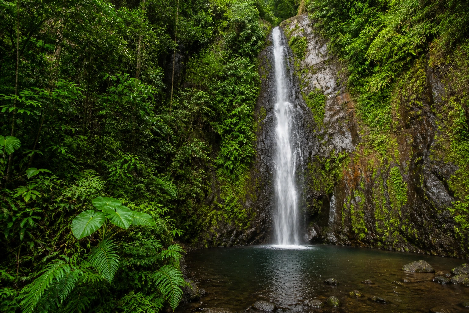 Annandale Waterfall within lush vegetation in Grenada