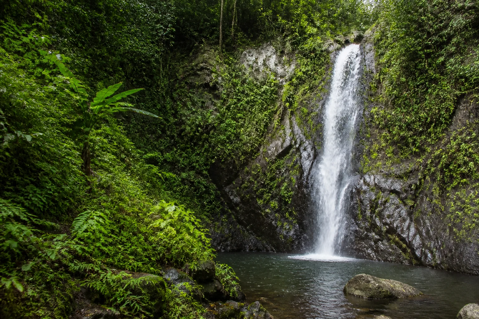 Annandale Waterfall within lush vegetation in Grenada