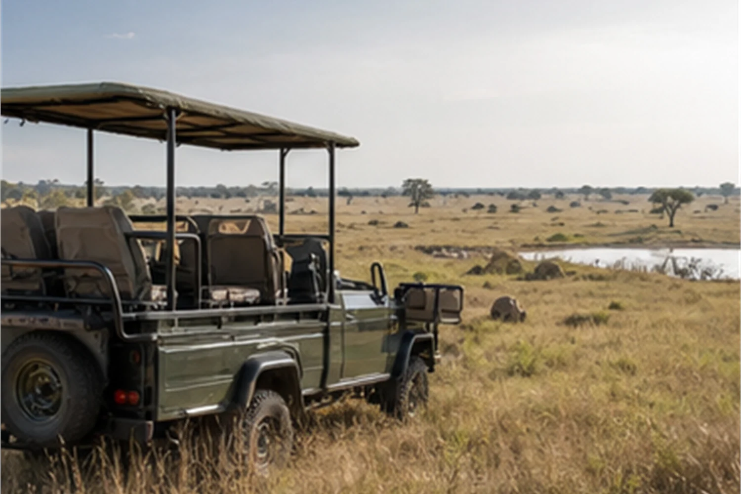 Game Drive oder Walking Safari: Welche Aktivitt zu welchem Gast passt - Reisemagazin Impression 4