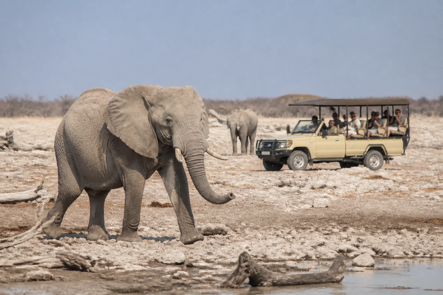 Elephants and safari vehicles on a game drive in Etosha National Park