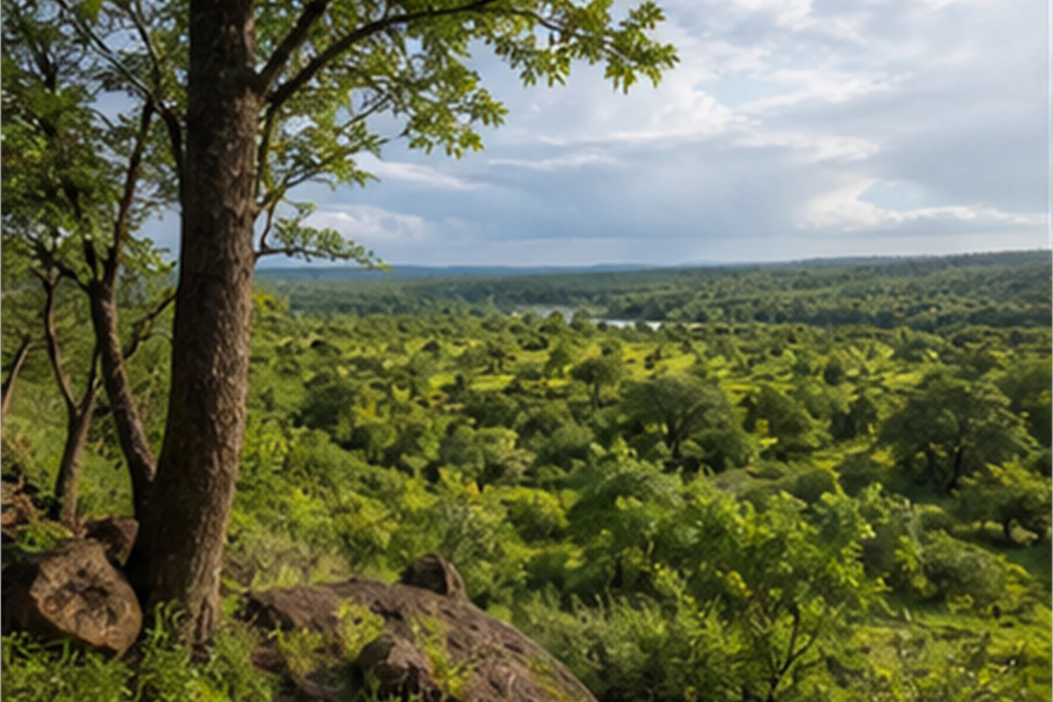 Green Season Safari: Warum Regenzeit für Kenner stark sein kann.