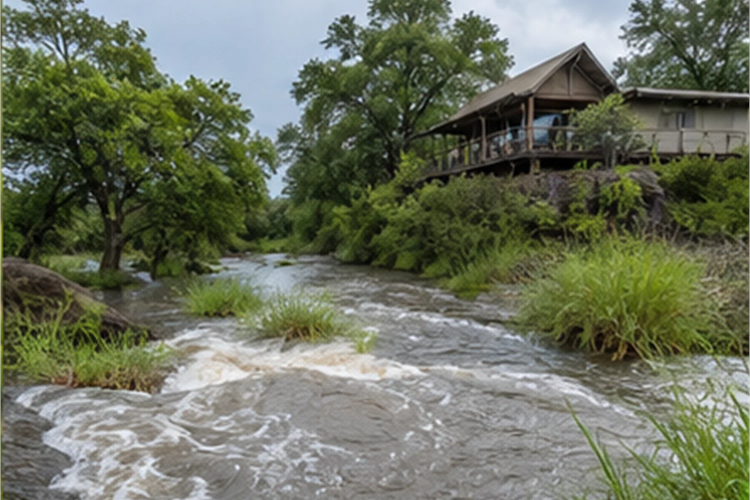 Green Season Safari: Why rainy season can be tough for those in the know - travel magazine Impression 6