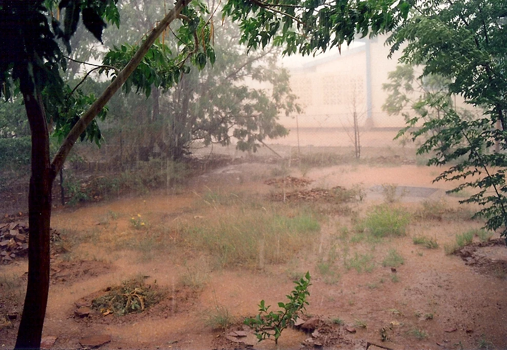 Heavy rain falling over a garden in Palapye, Botswana