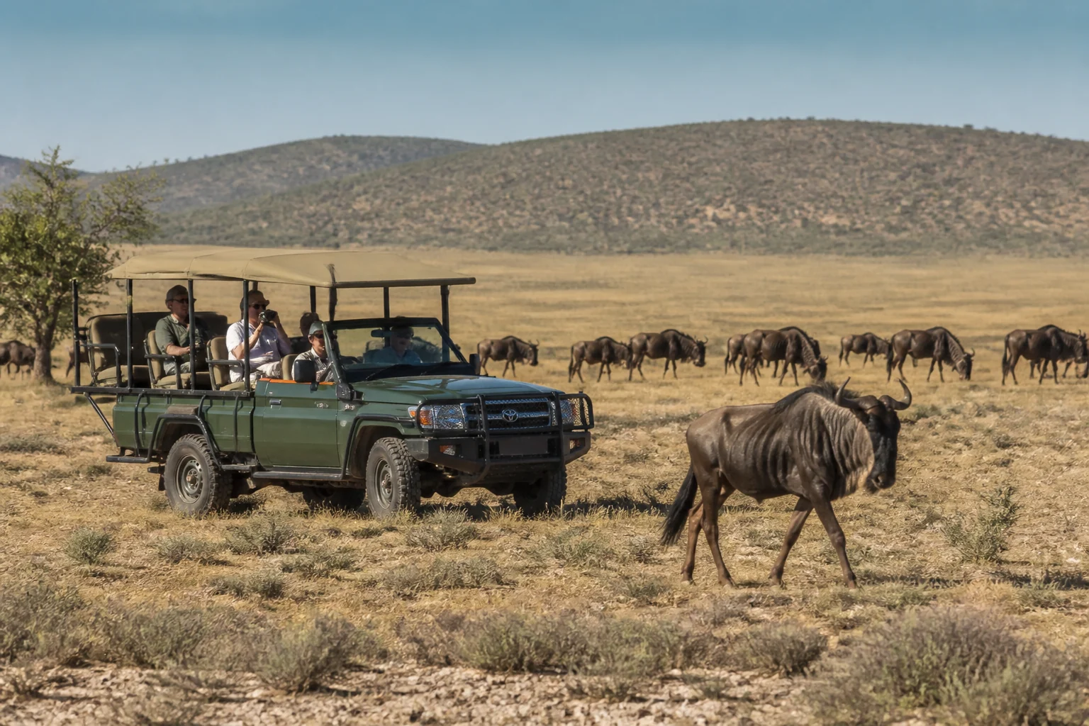 Luxury Travel Advisory: Better Planning Decisions