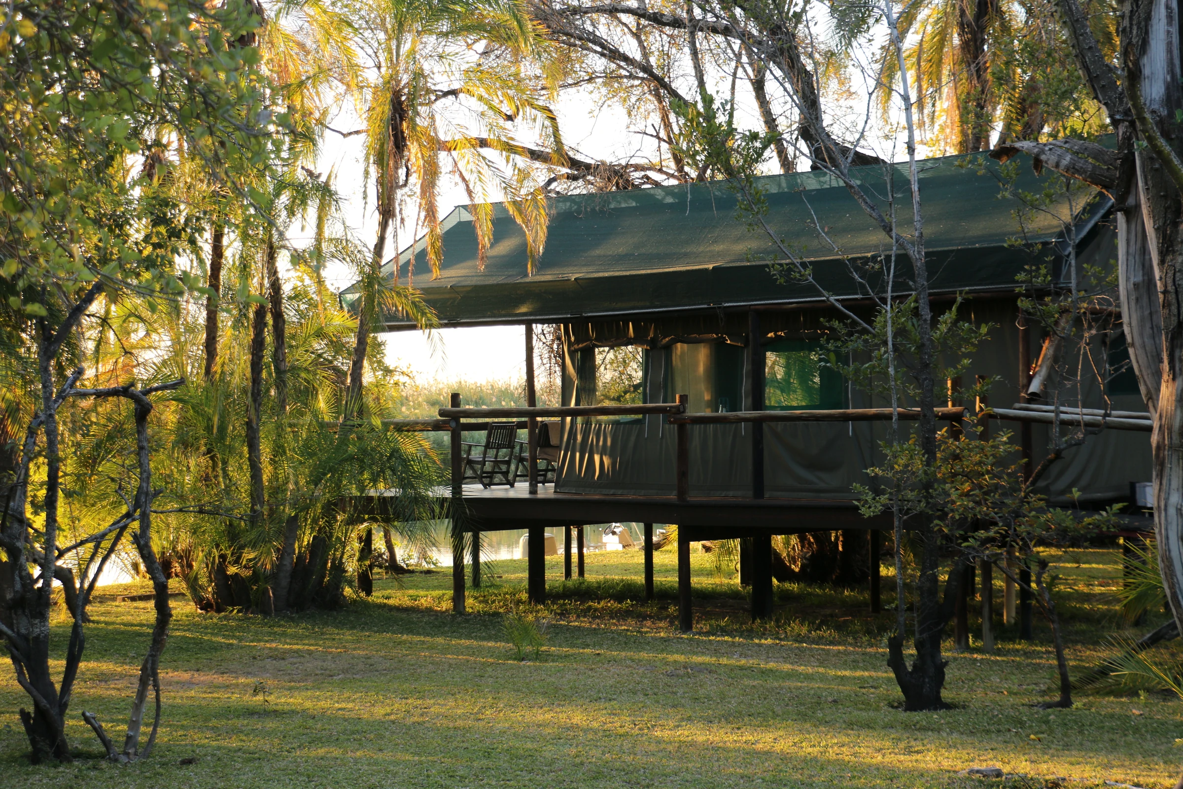 Raised tented lodge among trees in the Okavango Delta