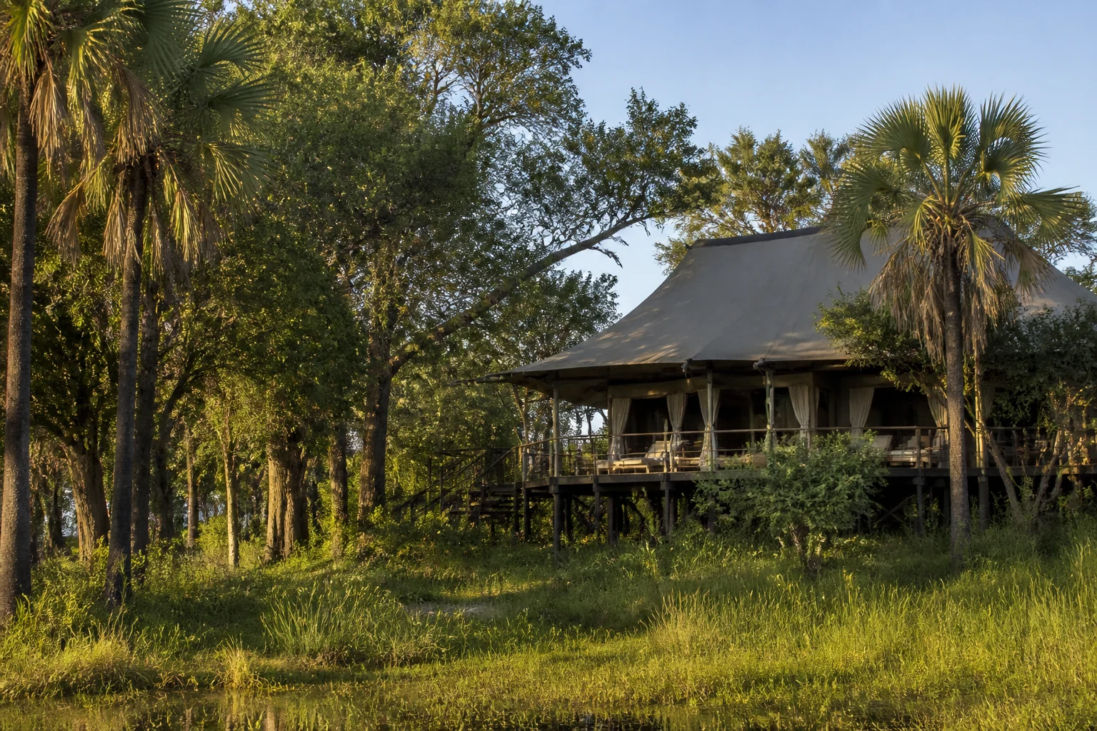 Raised tented lodge among trees in the Okavango Delta