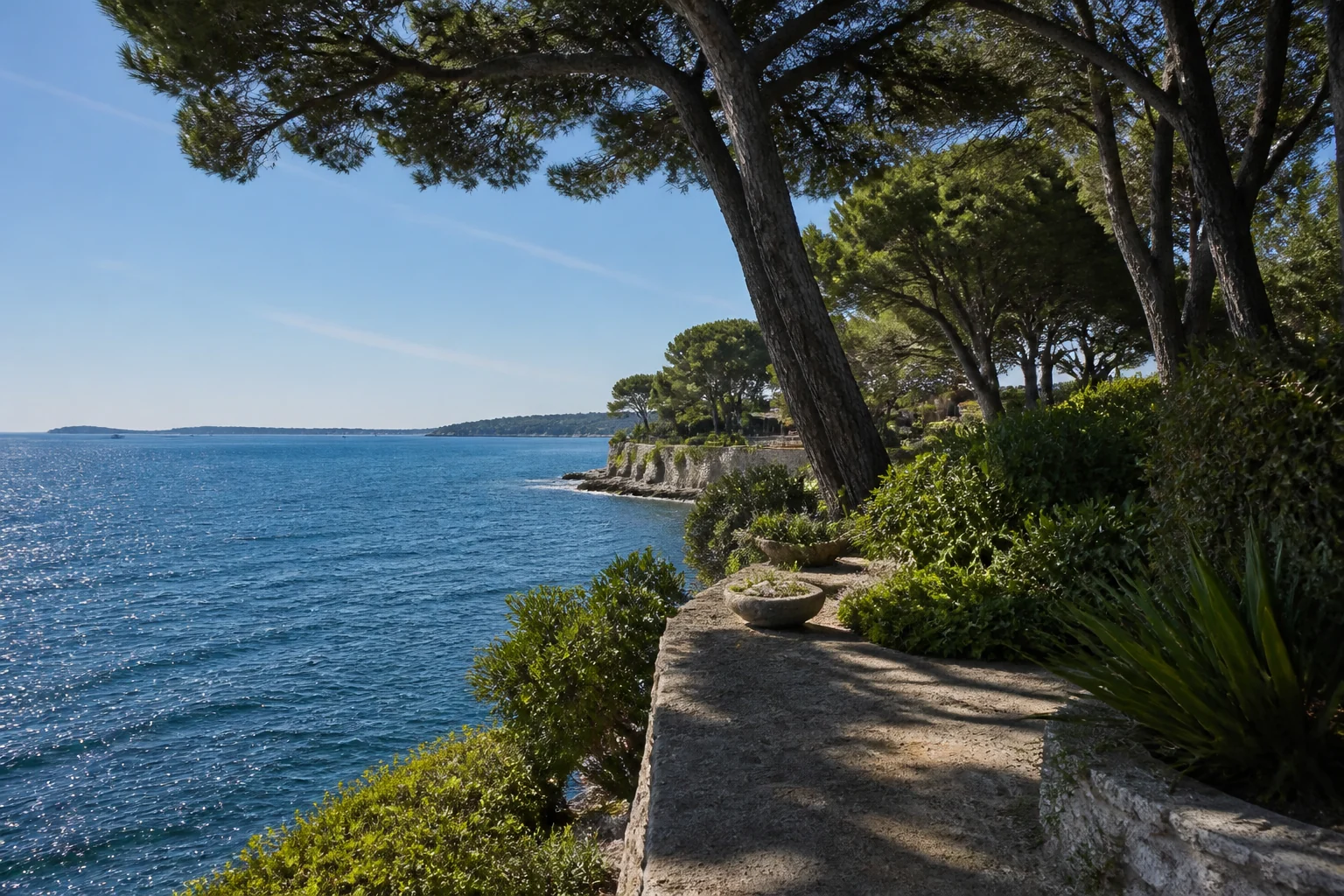 Pins et littoral méditerranéen comme contexte du cap d’Antibes