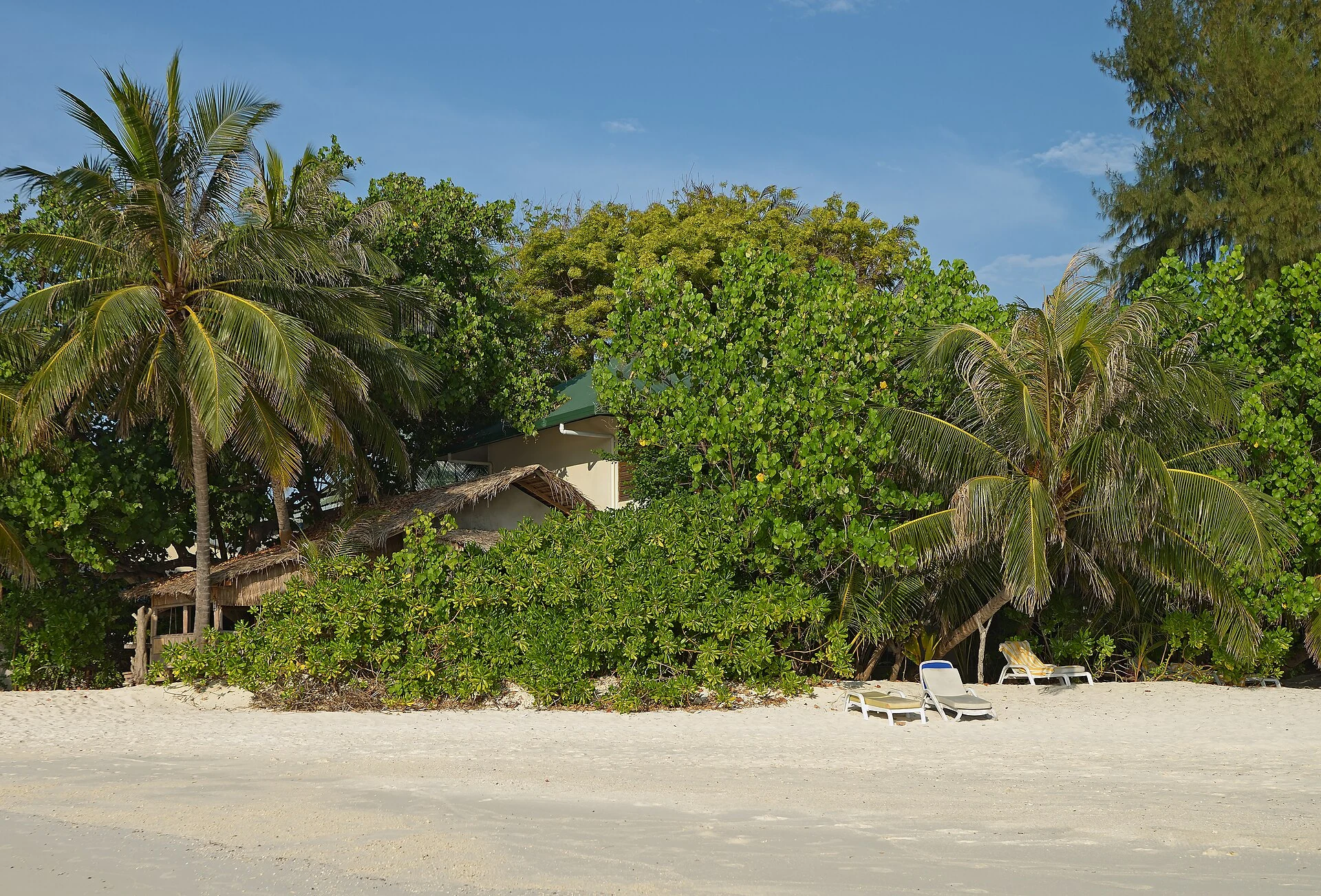 Bungalow de plage à Eriyadu derrière une végétation tropicale dense