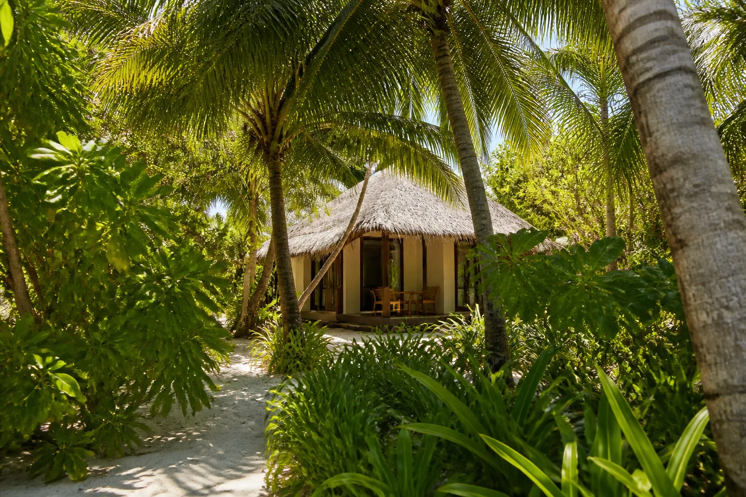 Beach bungalow at Eriyadu behind dense tropical vegetation