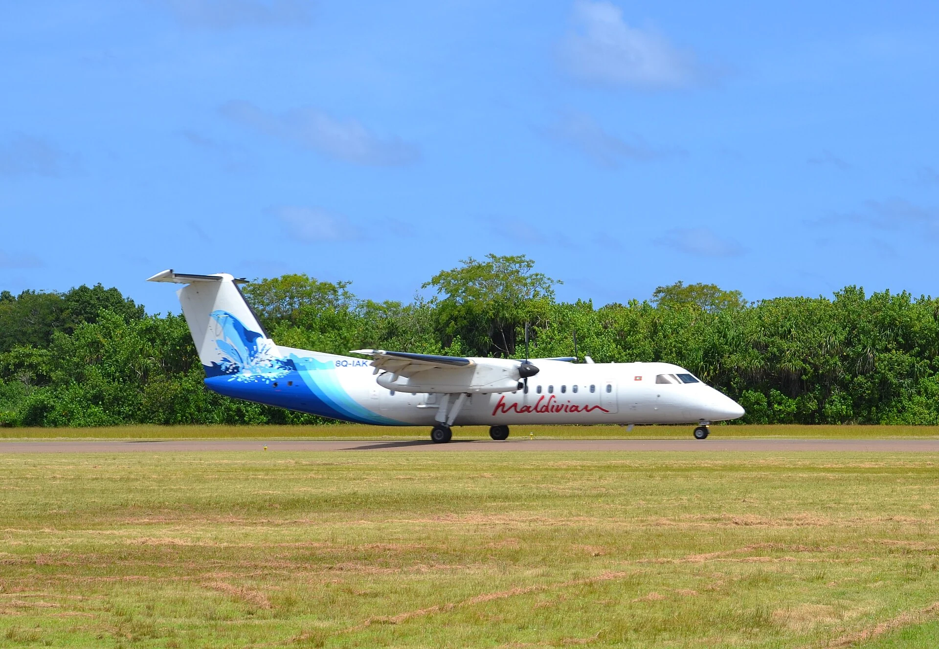 Véritable avion régional Dash 8 de Maldivian 8Q-IAK sur une piste insulaire
