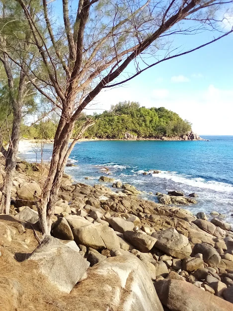 Maldives vs. Seychelles: Which luxury destination is better