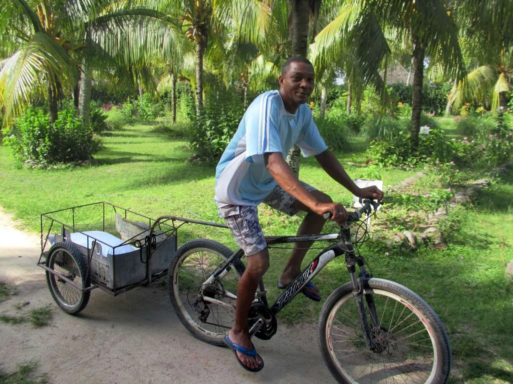 Local cyclist with cargo trailer on a coastal road on La Digue