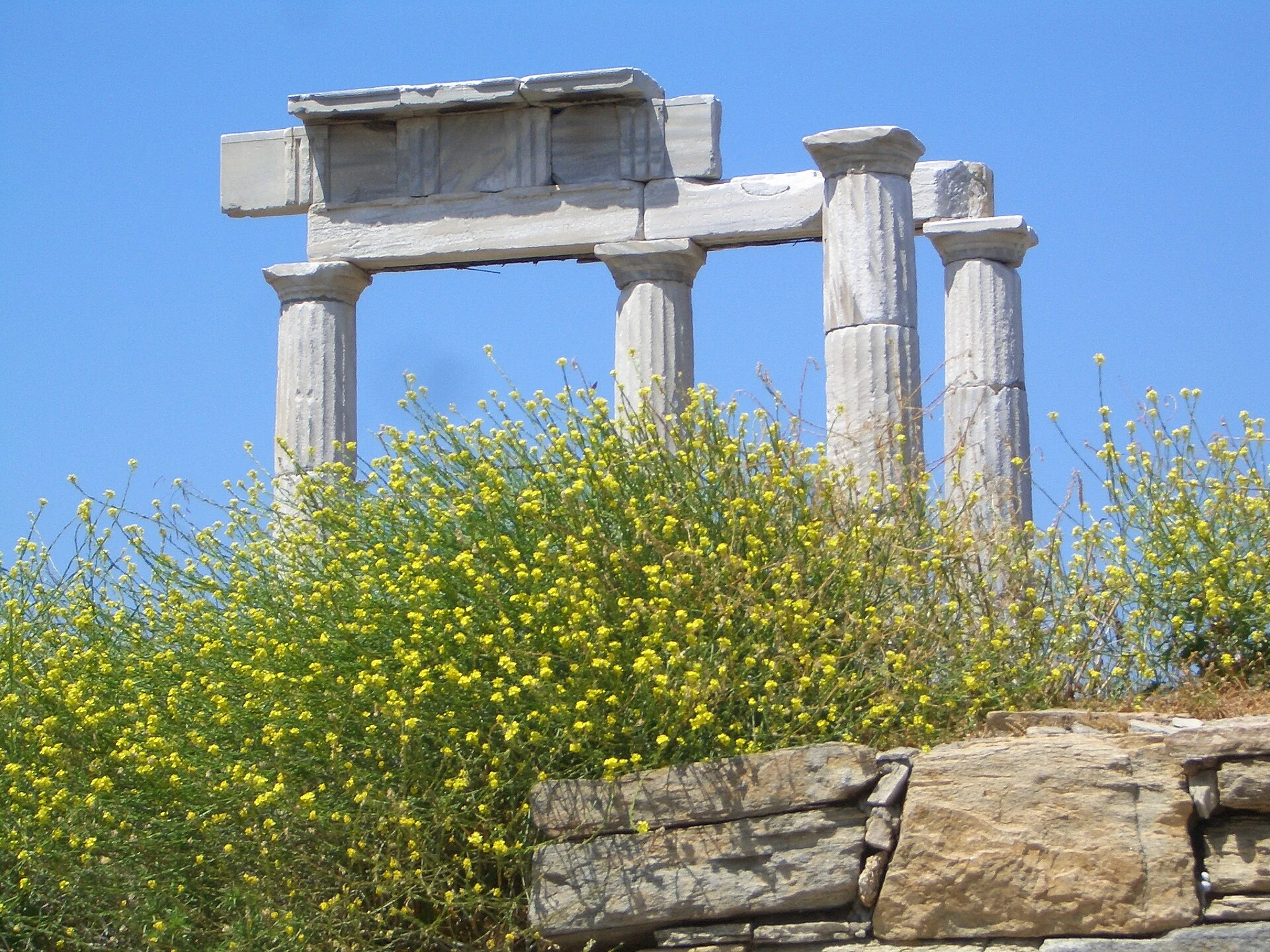 Real ancient columns and ruins on the island of Delos