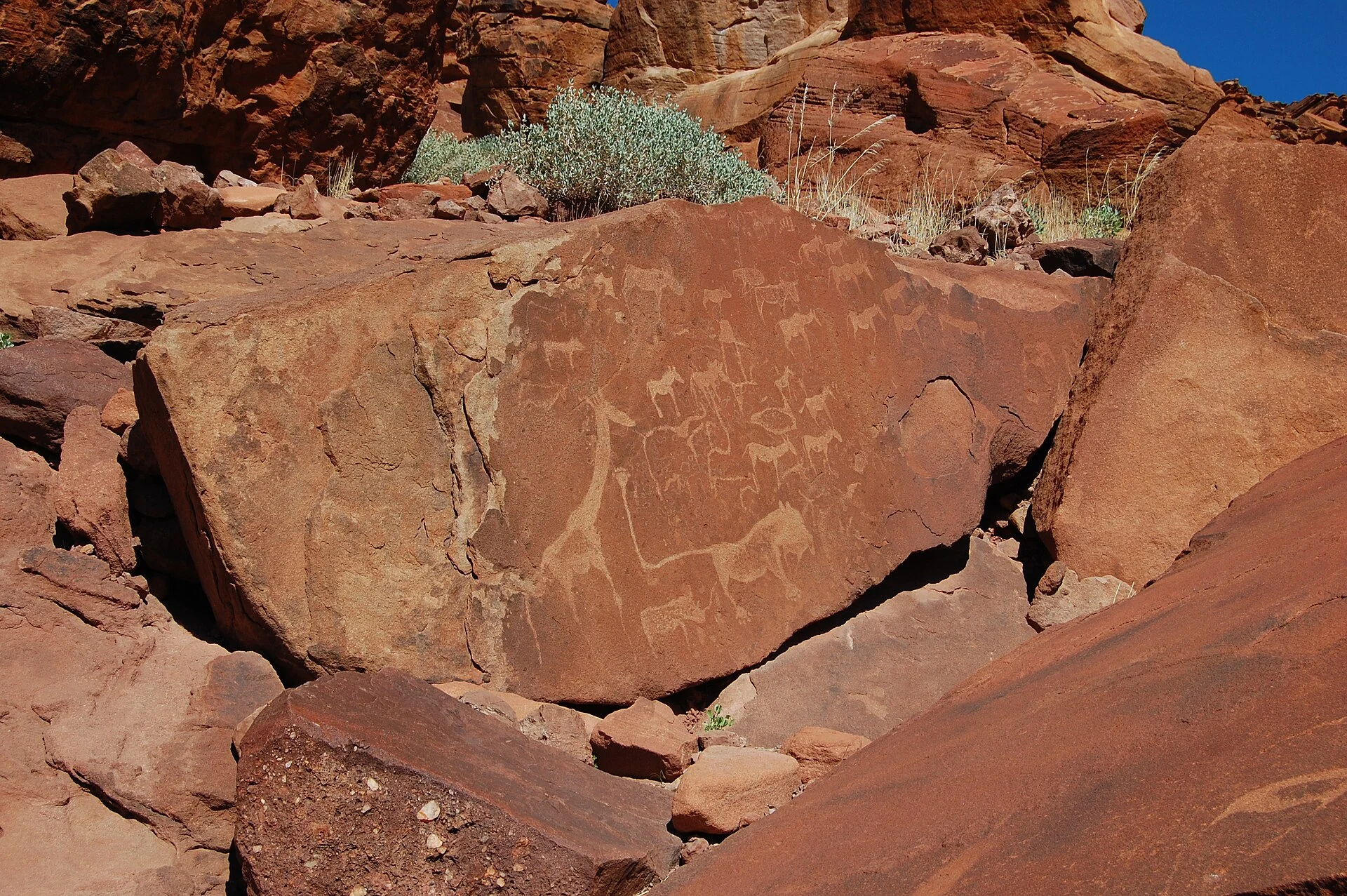 Reale Löwenplatte mit Tiergravuren am UNESCO-Ort Twyfelfontein