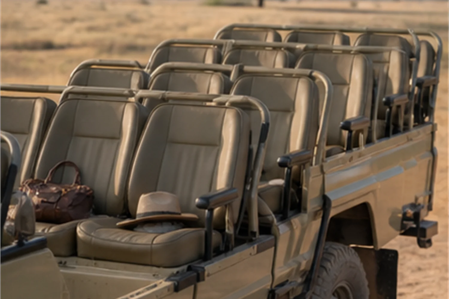 Private Vehicle auf Safari: Wann sich der Aufpreis lohnt - Reisemagazin Impression 4