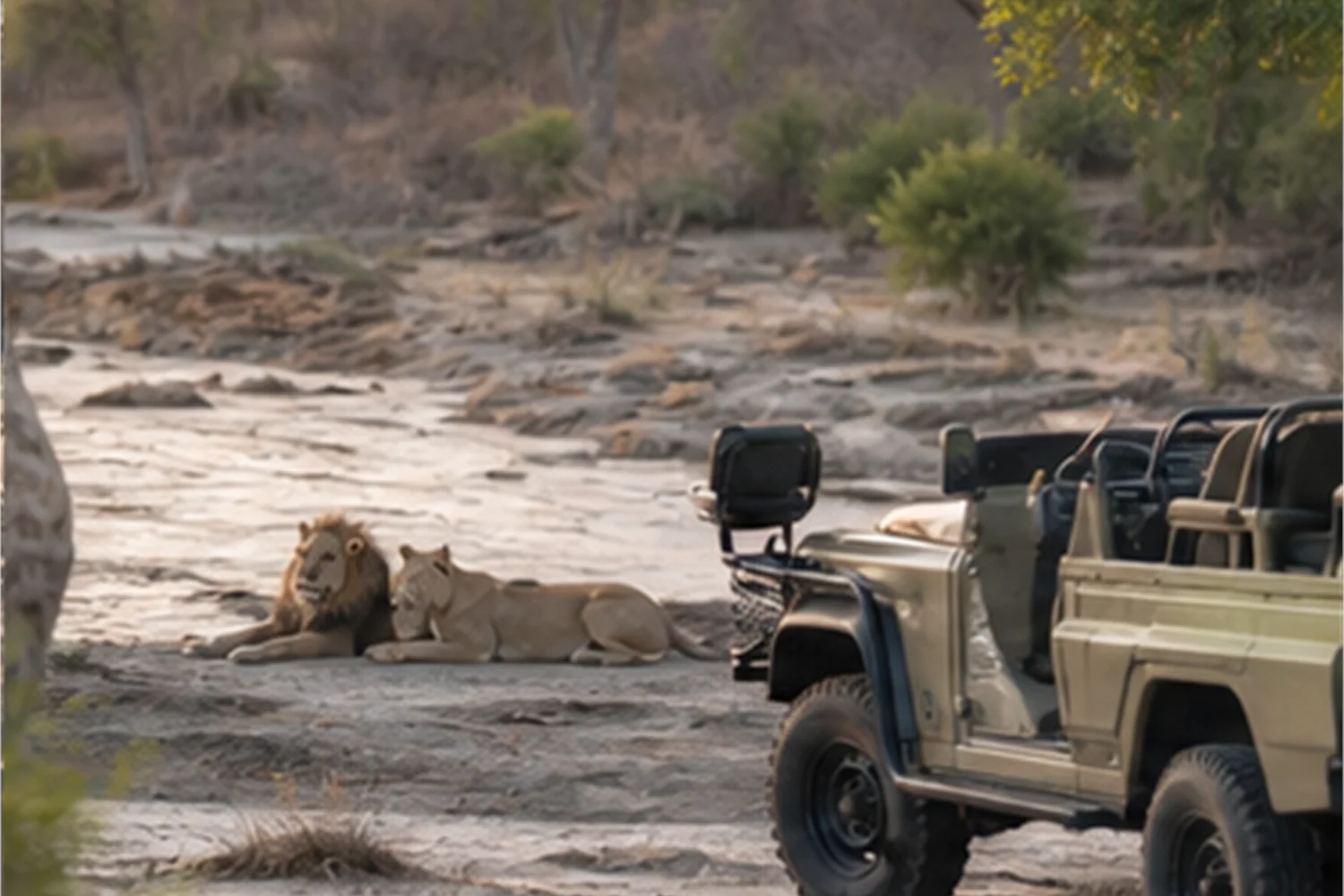 Private Vehicle auf Safari: Wann sich der Aufpreis lohnt - Reisemagazin Impression 5
