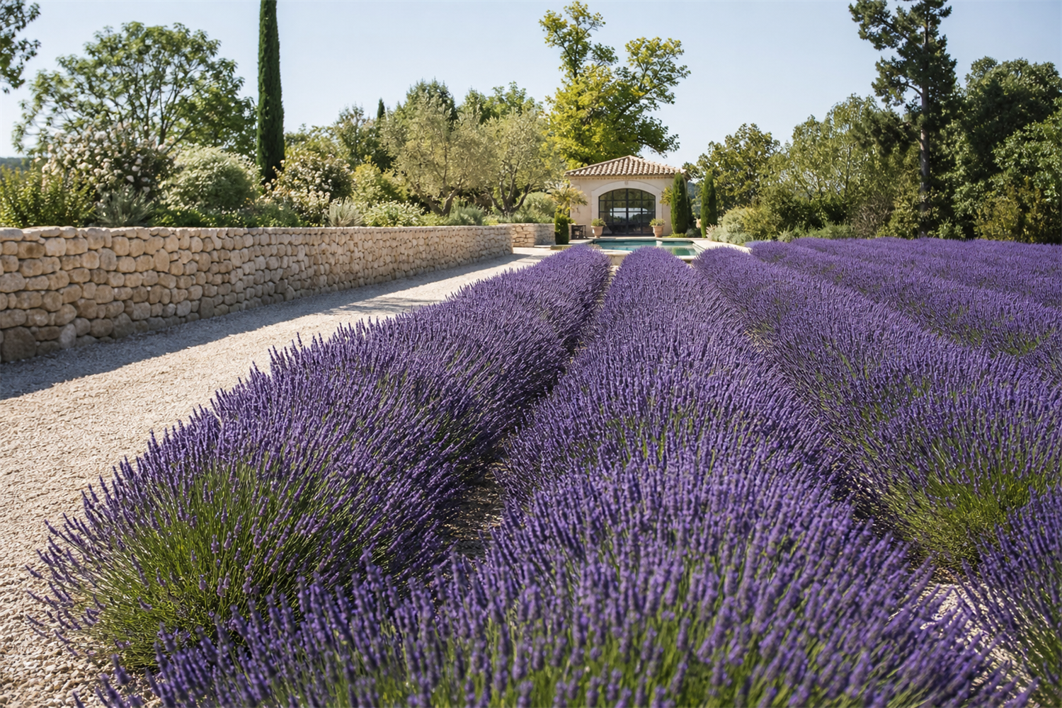 Provence de Luxe: boutique hotels, vineyards and lavender - travel magazine Impression 3