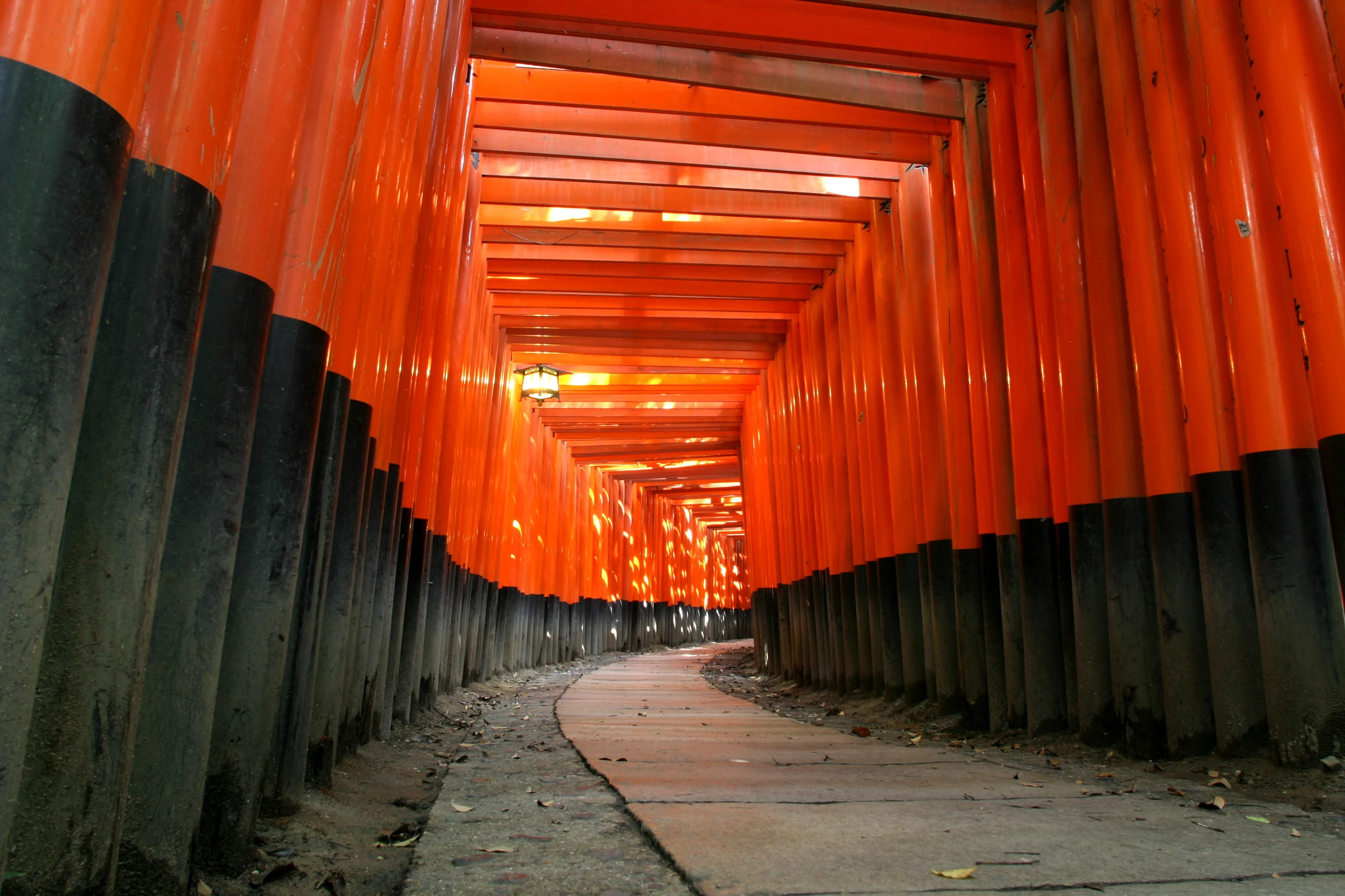 Leerer Torii-Gang am Fushimi-Inari-Schrein in Kyoto