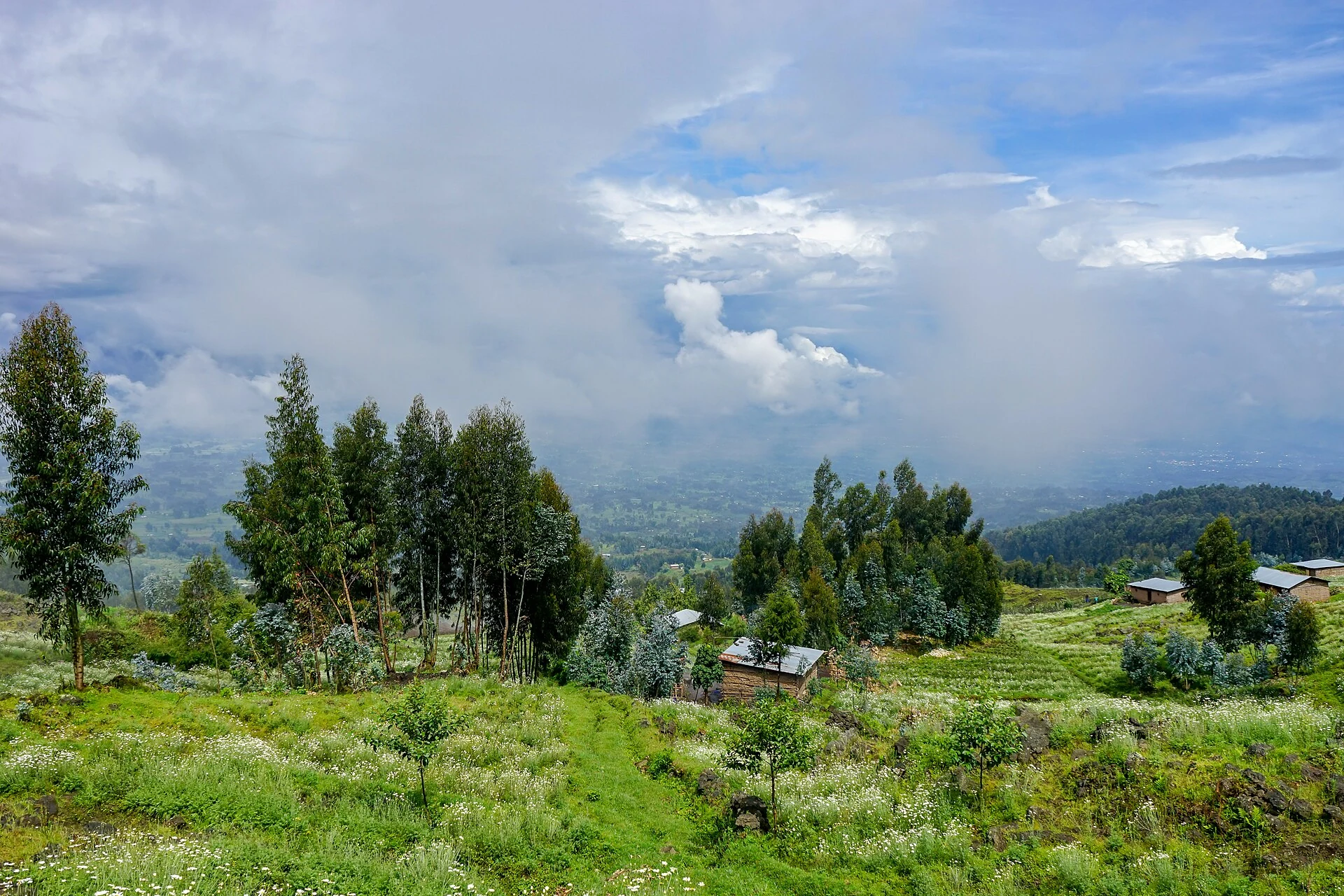 Grüne Hänge und Wolken bei Kinigi am Volcanoes National Park in Ruanda