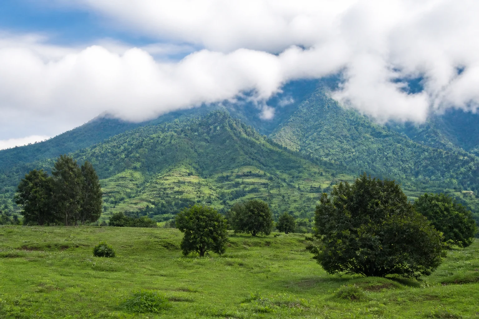 Green slopes and cloud near Kinigi by Rwanda’s Volcanoes National Park