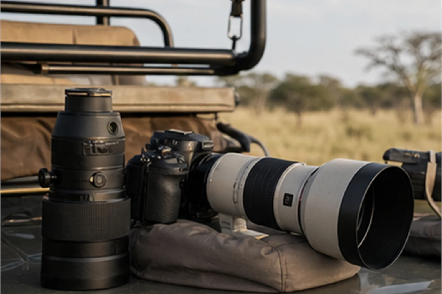 Safari mit Foto-Fokus: Fahrzeuge, Licht, Objektive und Camp-Lage.