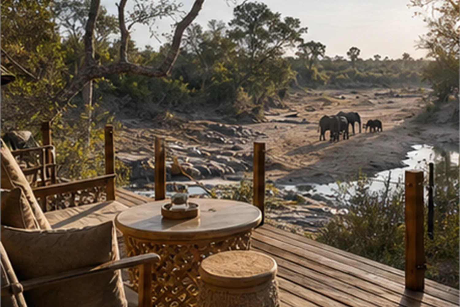 Safari axé sur la photo : véhicules, lumière, objectifs et emplacement du camp - magazine de voyage Impression 4