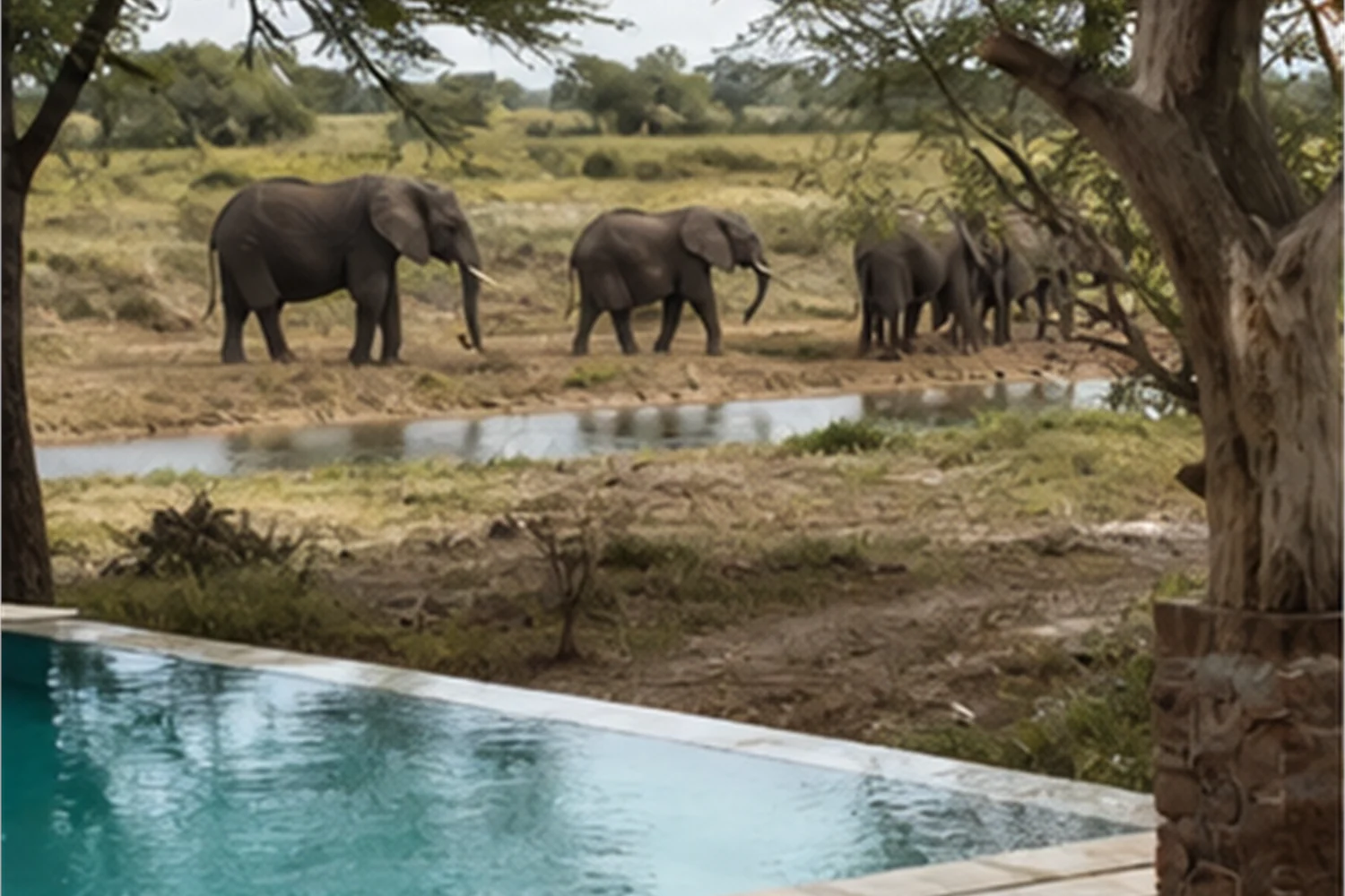 Safari Suite with Pool: When to actually use the pool - travel magazine Impression 4