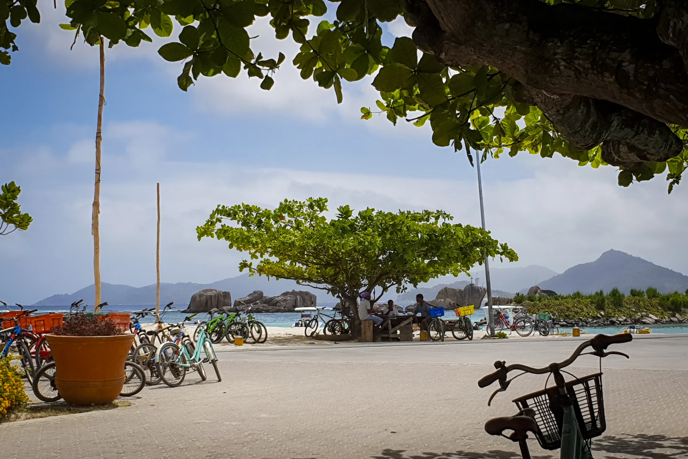 Numerous bicycles beside a coastal road on La Digue in Seychelles