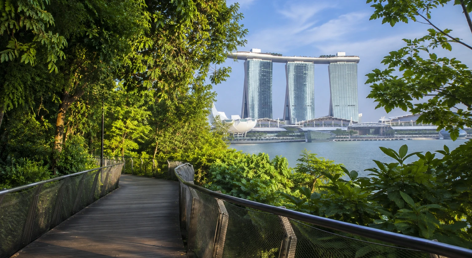A private walk through green Singapore with Marina Bay beyond