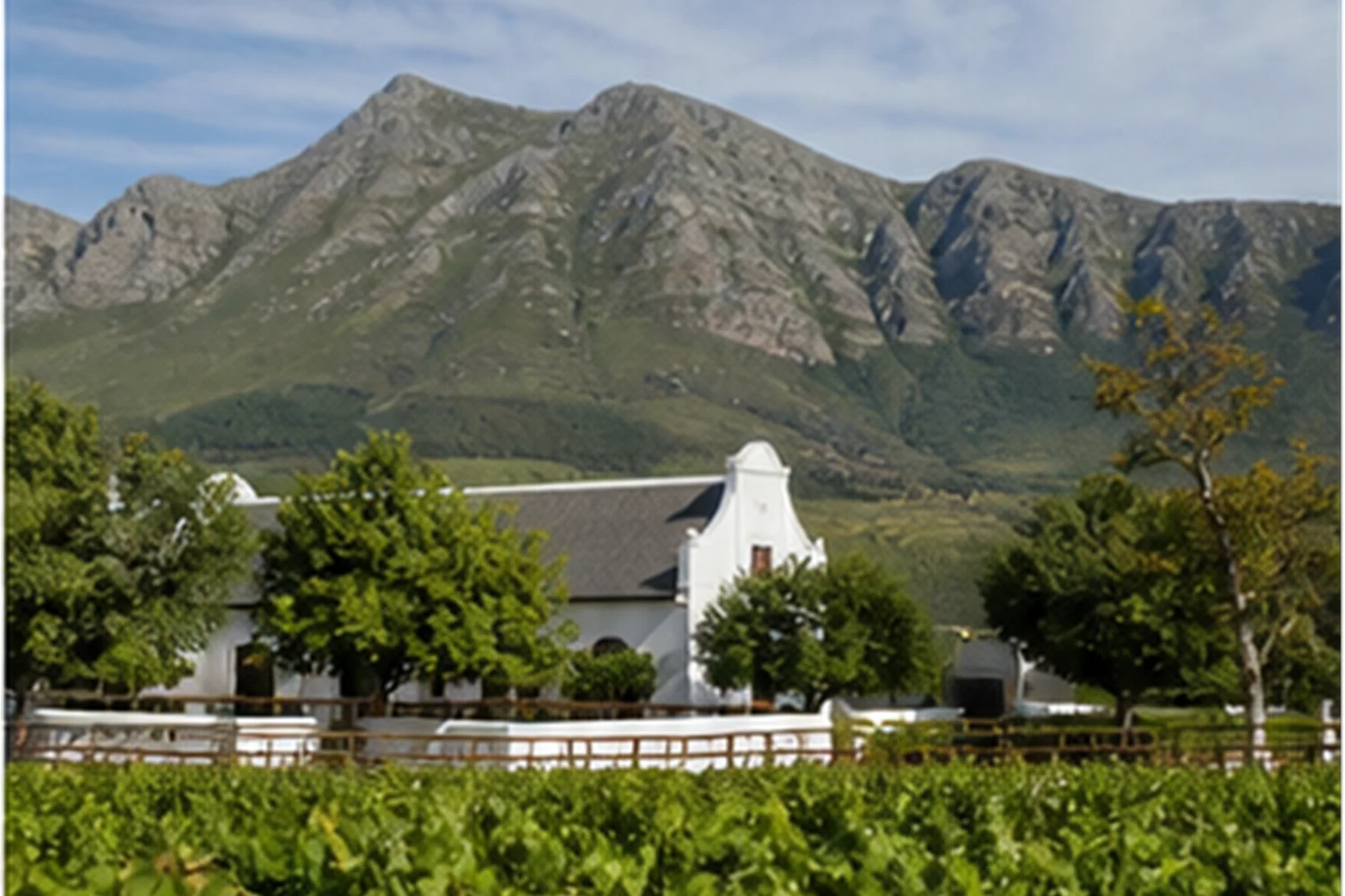 Weinreisen de Luxe: Bordeaux, Toskana, Napa und Südafrika - Reisemagazin Impression 3