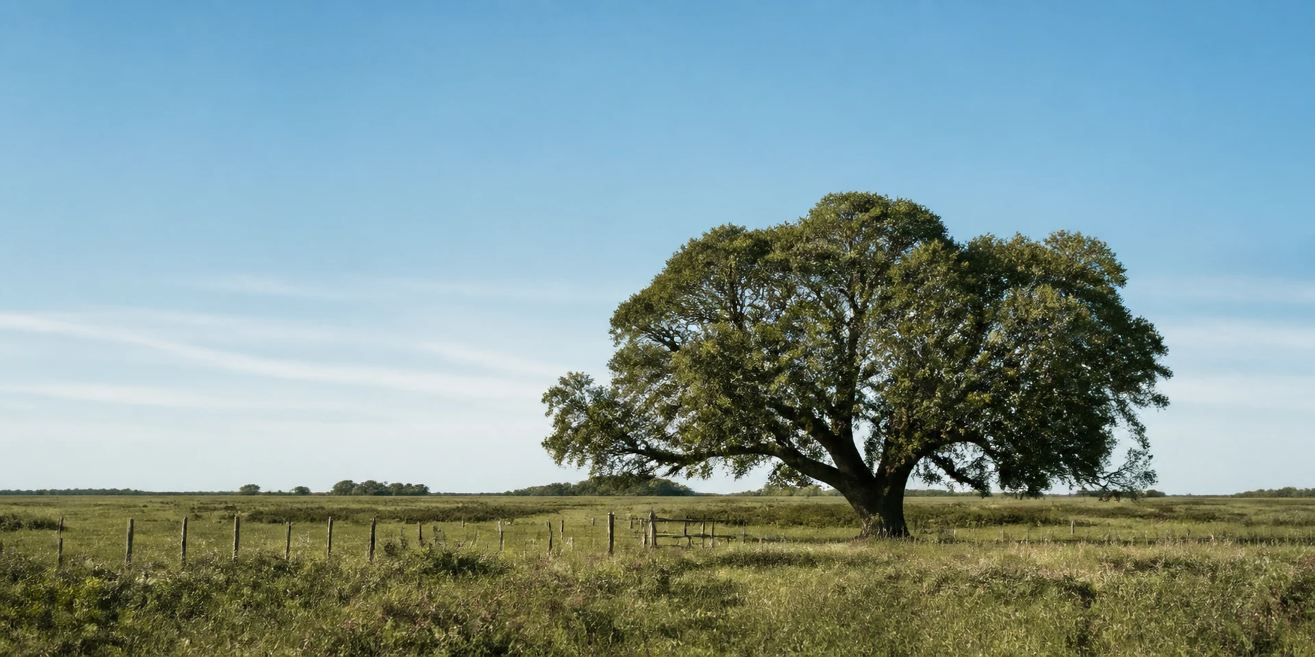 Virtuoso Hotels in San Antonio de Areco, Argentina