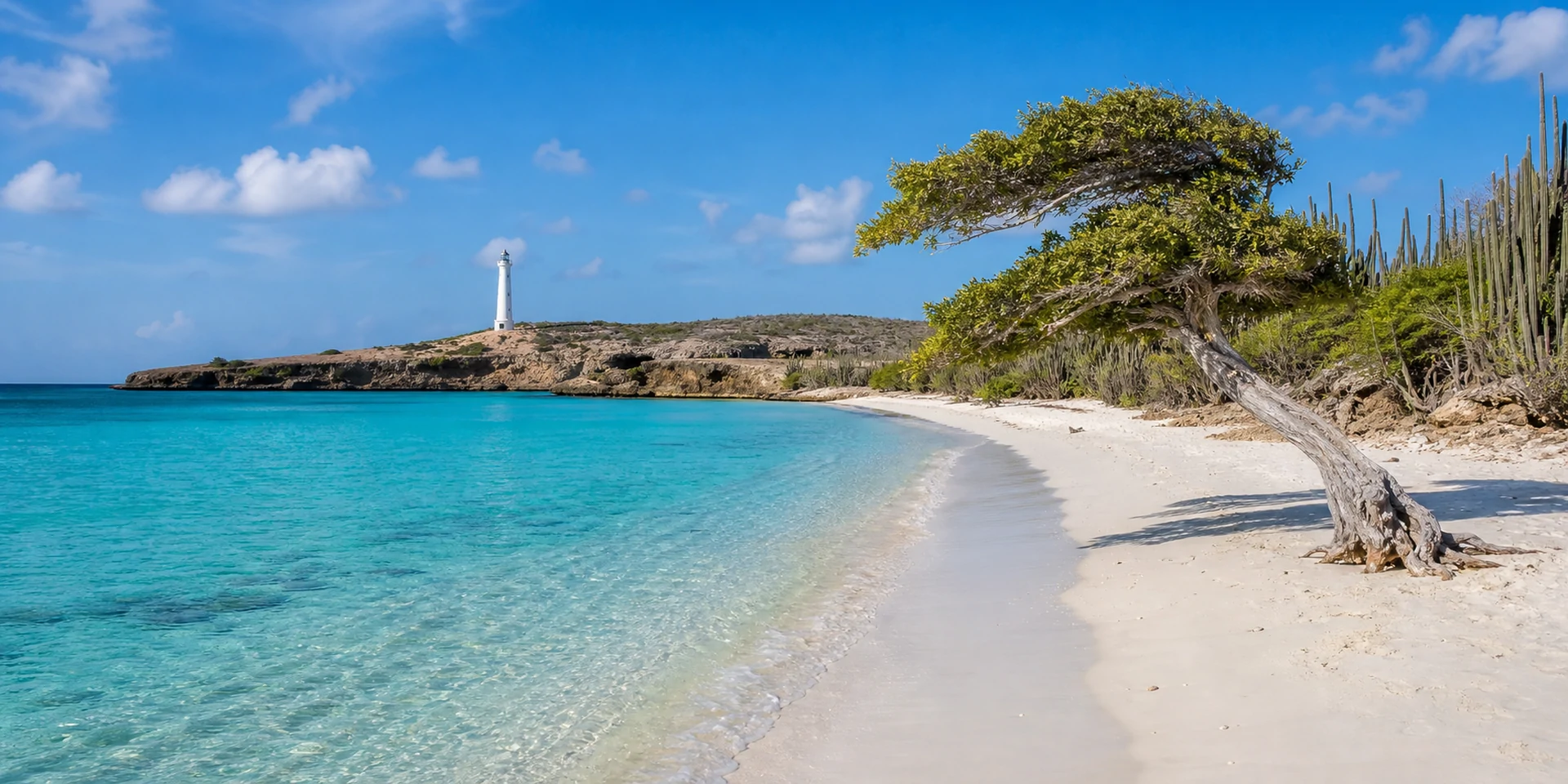 Virtuoso Hotels in Palm Beach, Aruba