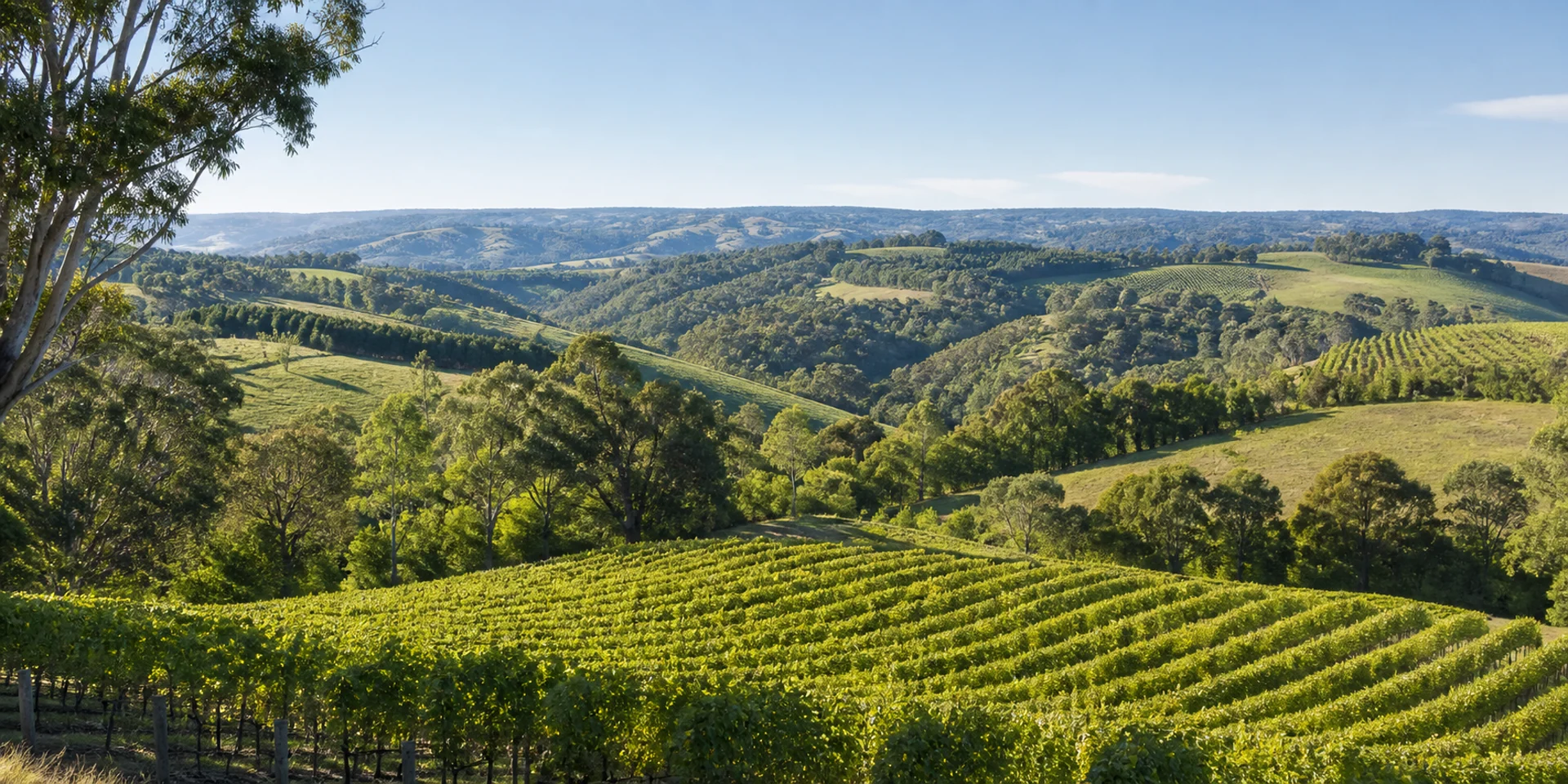 Virtuoso Hotels in Crafers, Australia