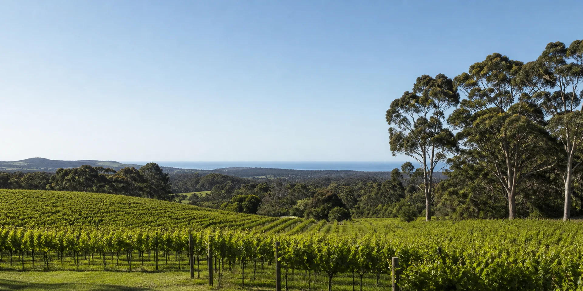 Hôtels Virtuoso à Mornington Peninsula, Australie