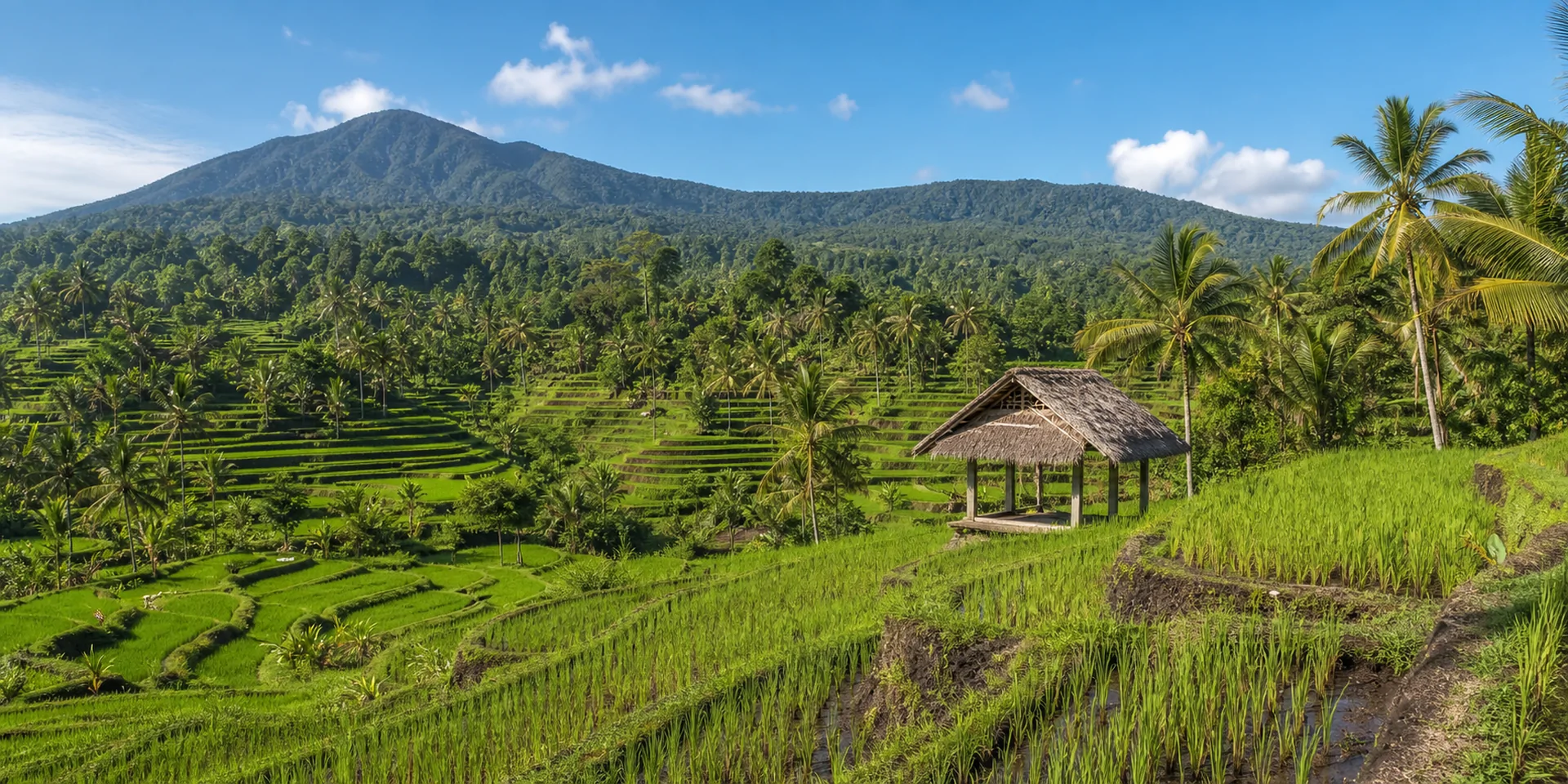 Virtuoso Hotels in Bali, Indonesia