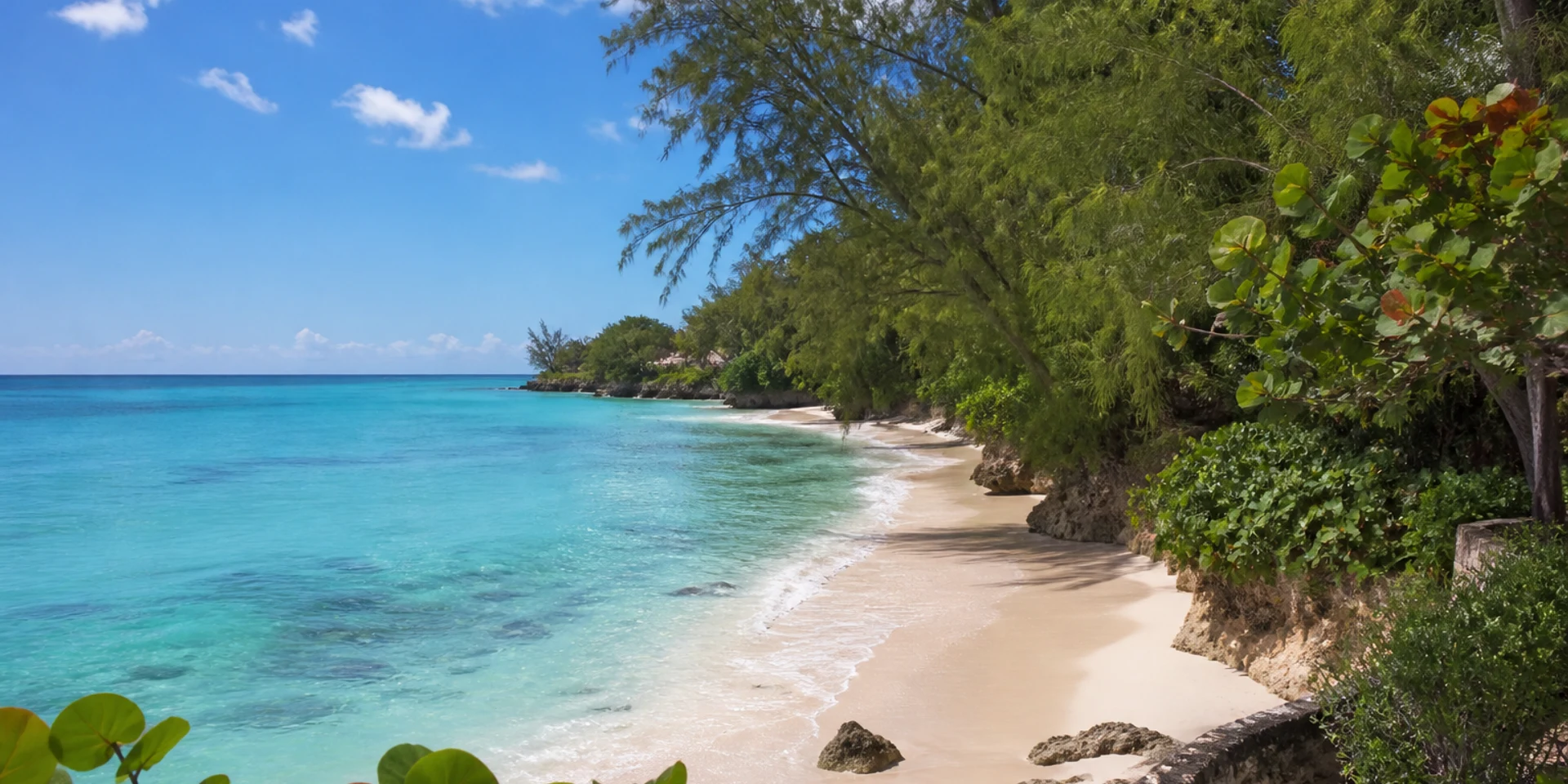 Virtuoso Hotels in Porters, Barbados
