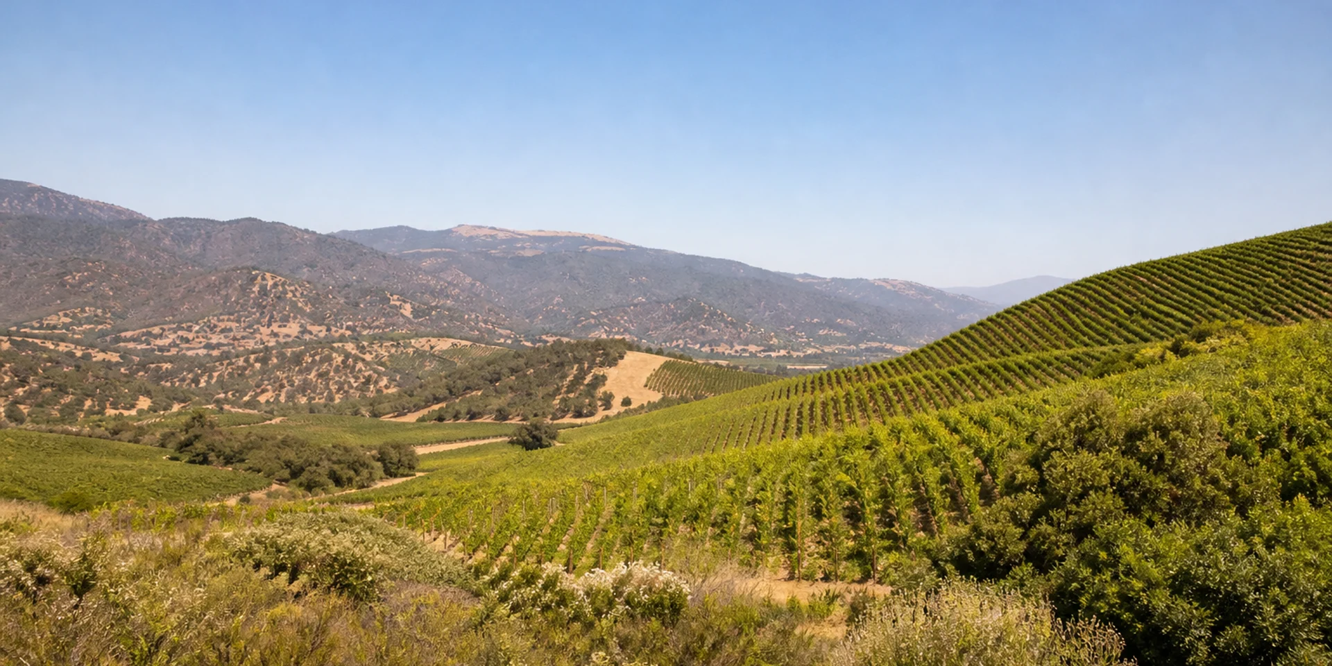 Virtuoso Hotels in Millahue, Chile