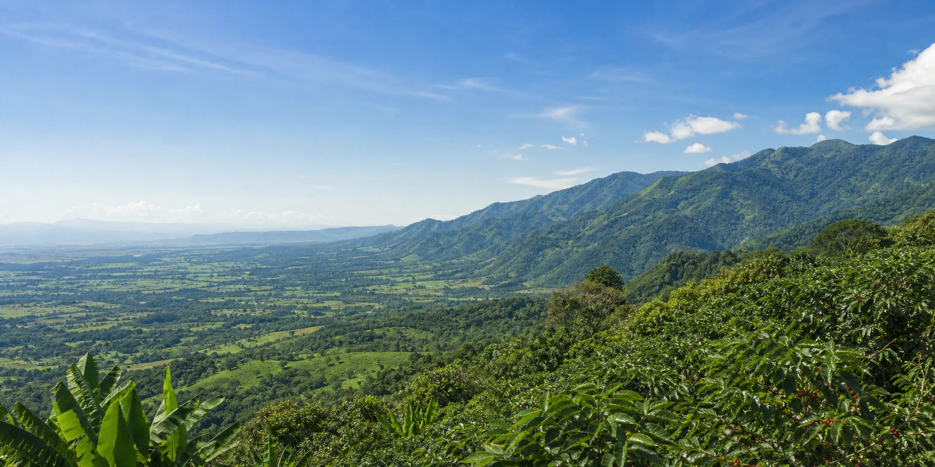 Virtuoso Hotels in Pérez Zeledón, Costa Rica