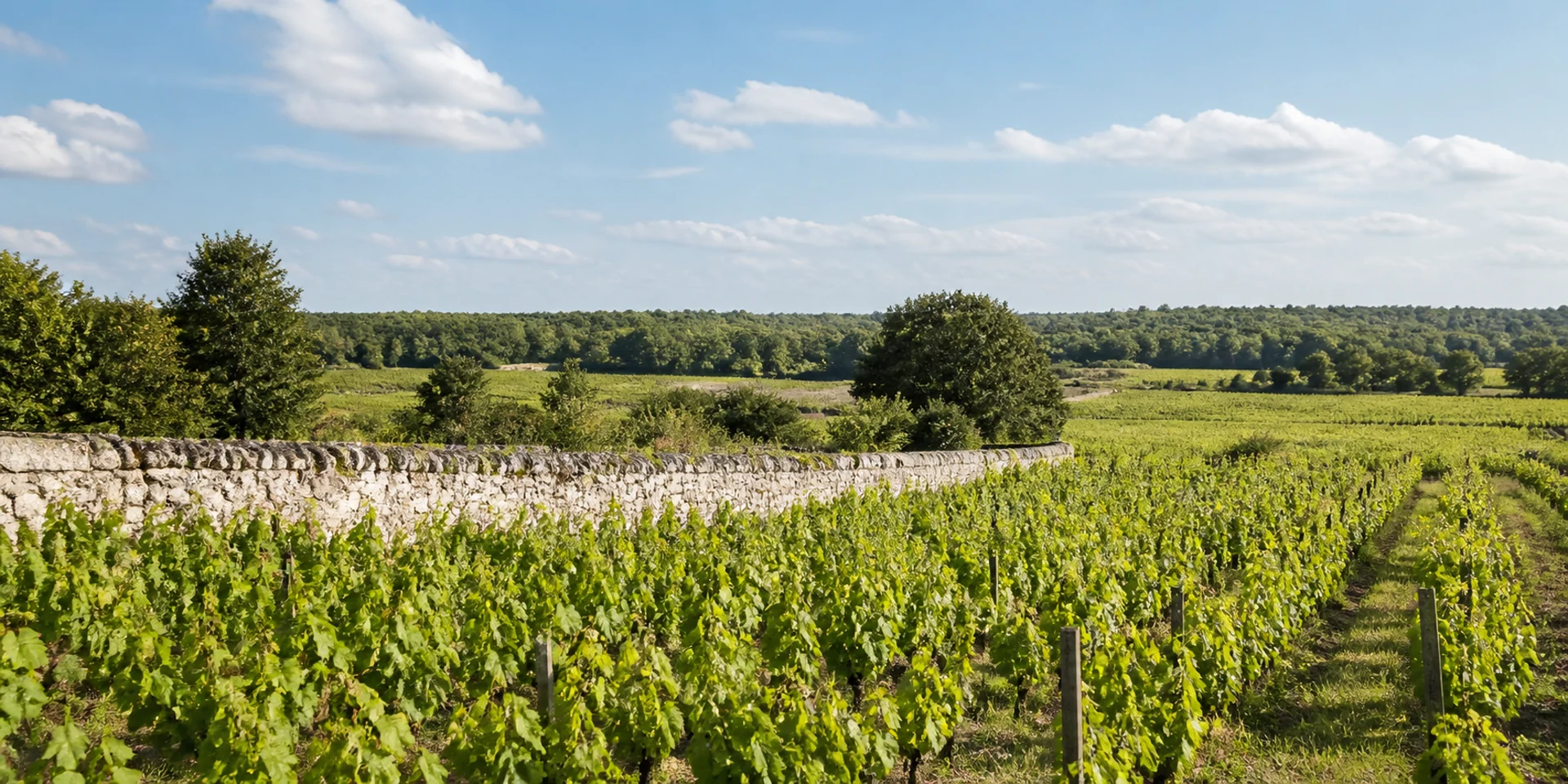 Virtuoso Hotels in Cheverny, Frankreich