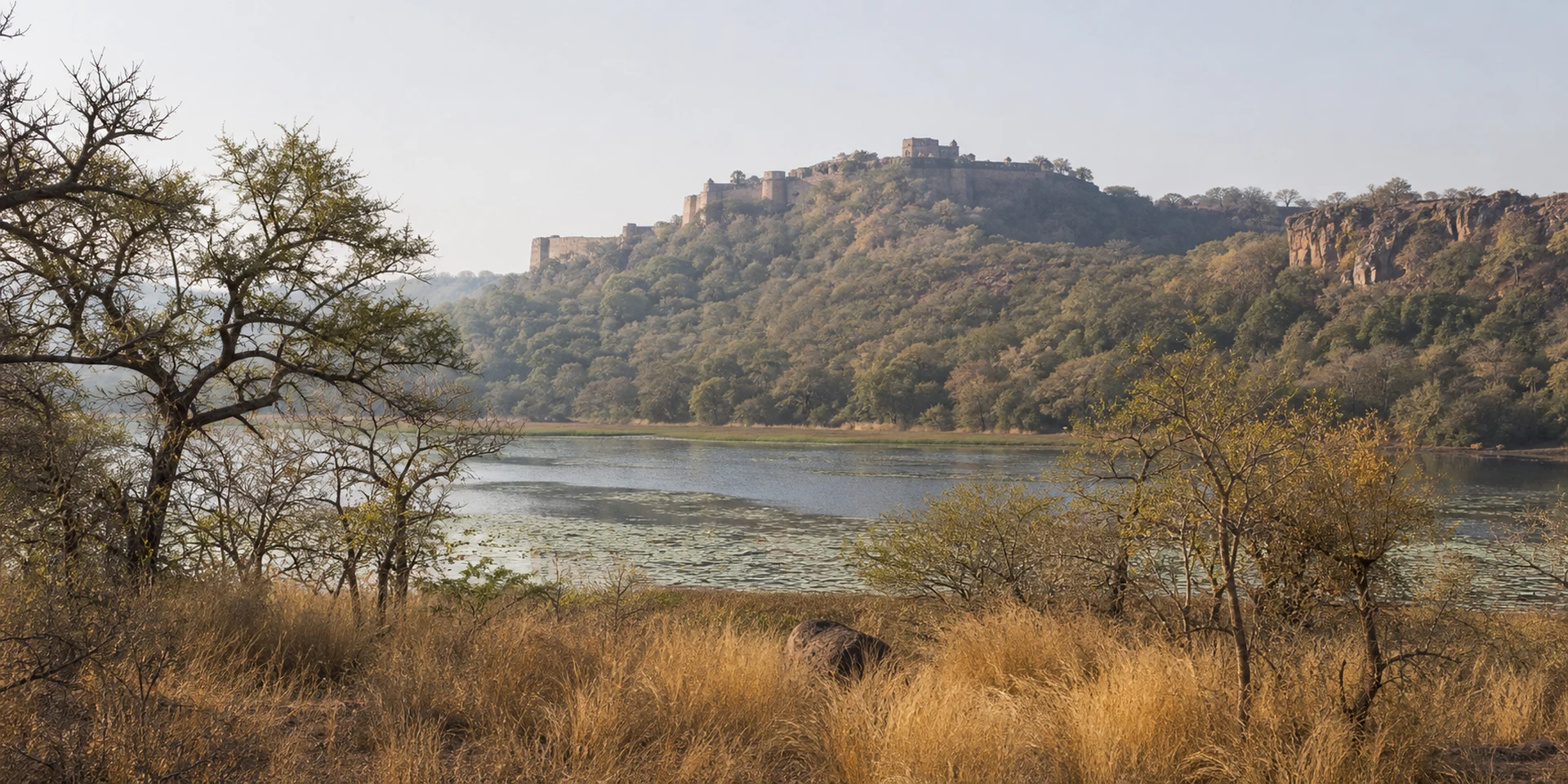 Virtuoso Hotels in Ranthambore, India